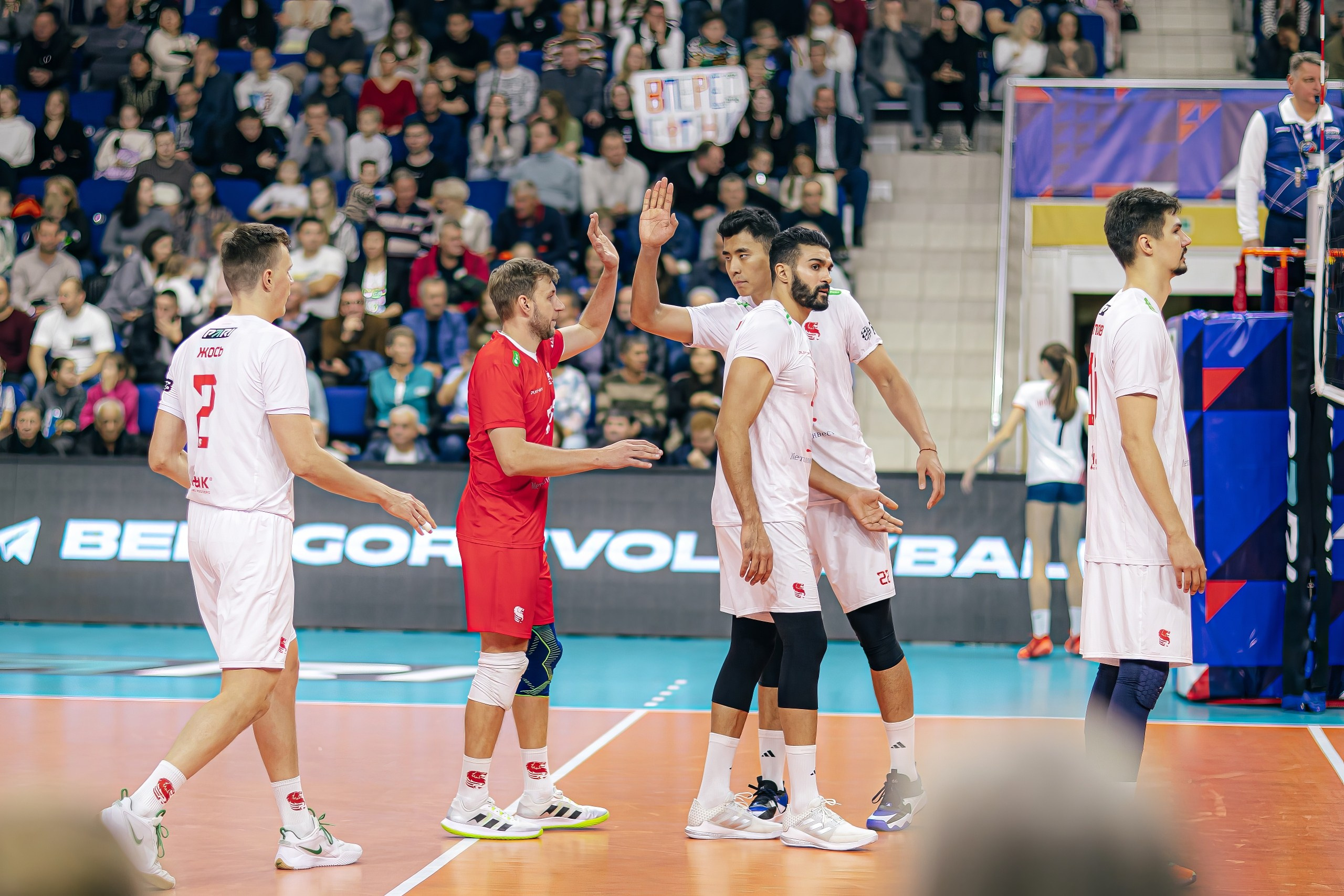 19.10 Волейбол. Нефтяник-Белгорье. Команда специалистов в мире фотографии и видео. Детский фотограф, семейный фотограф