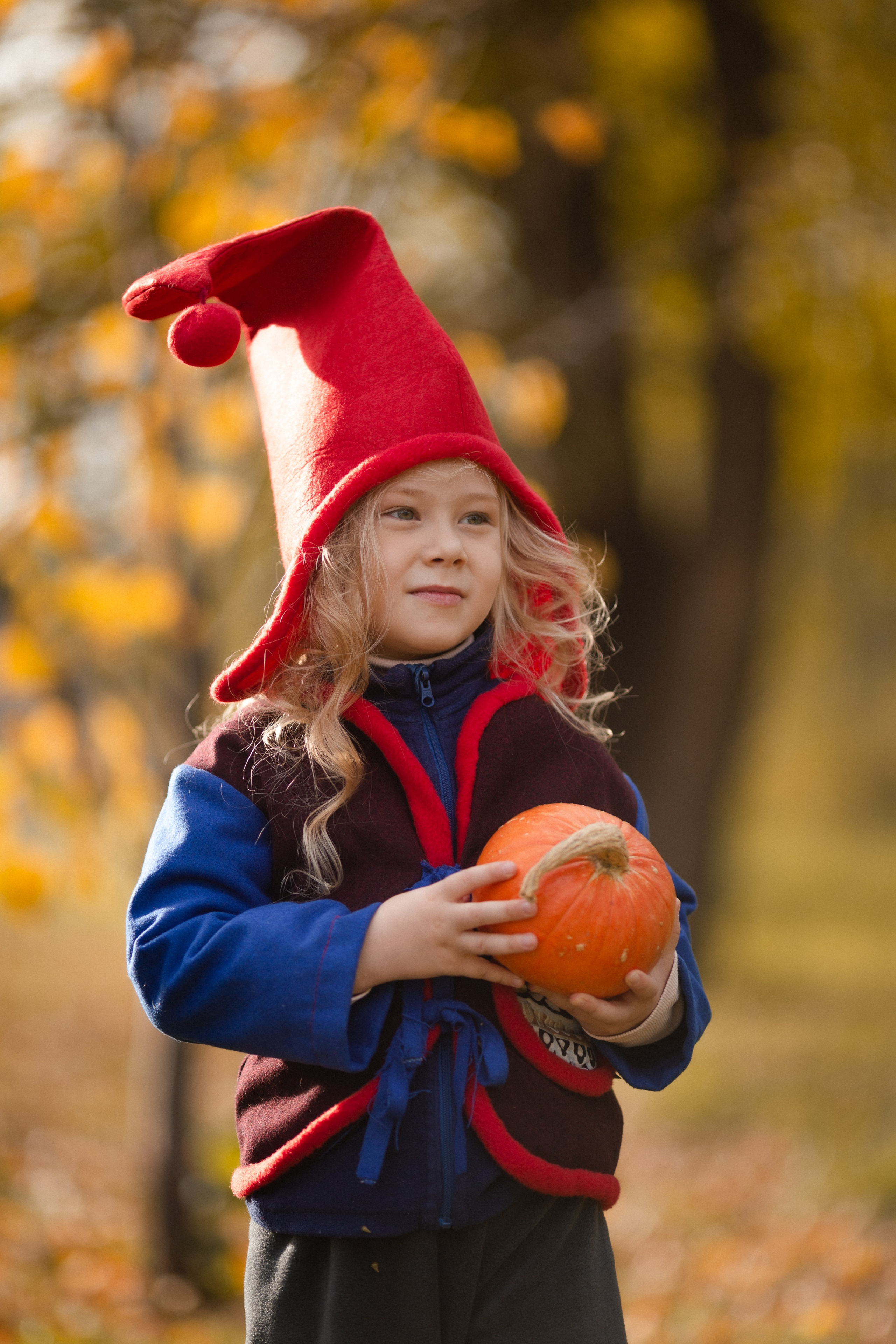 Лесные гномы