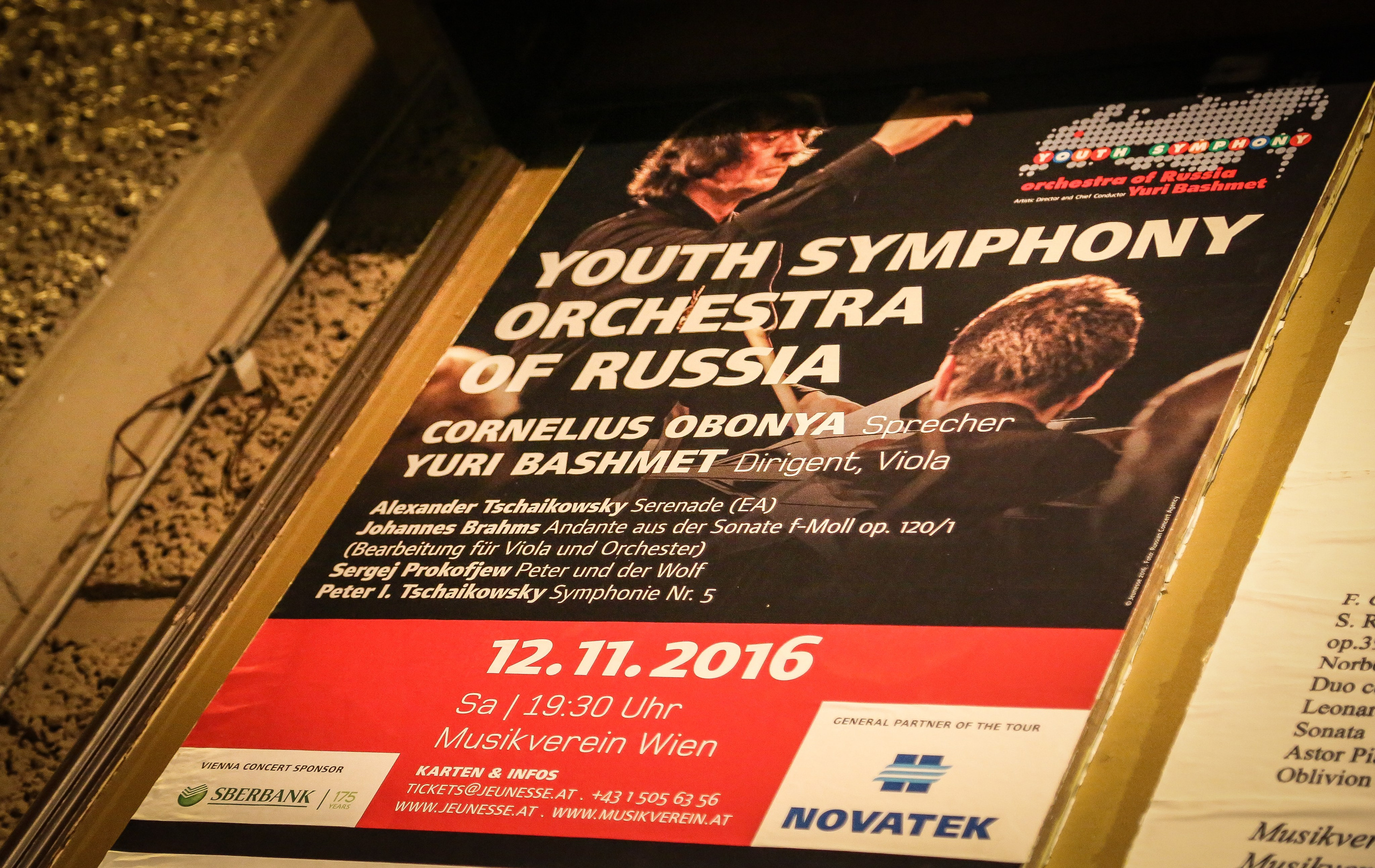 Австрия: Музыкальная Вена. Дарья Письменюк / Darya Leitstern — фотограф, музыкант, журналист, путешественник