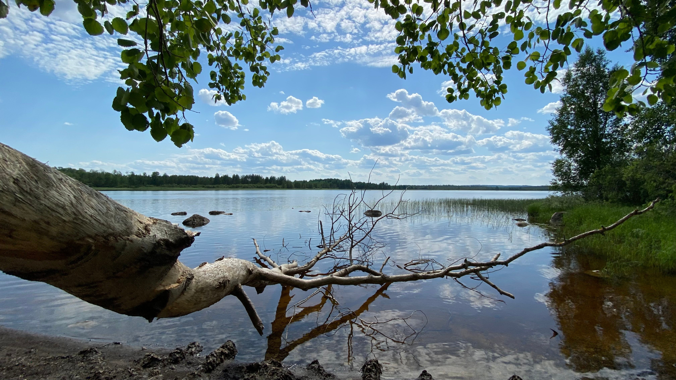 Вода. Эстет в моменте