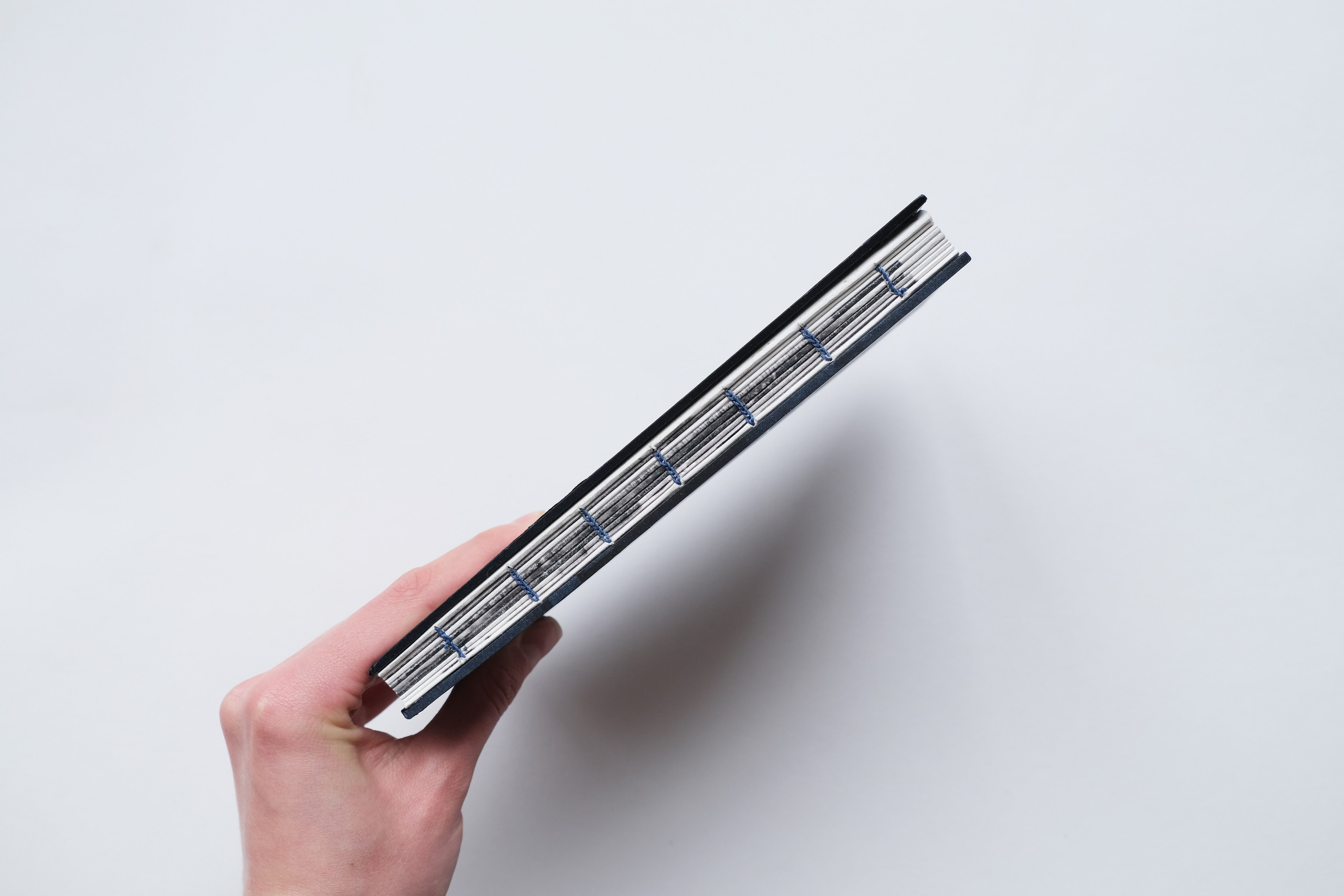 Малая медведица. Элина Гусарова