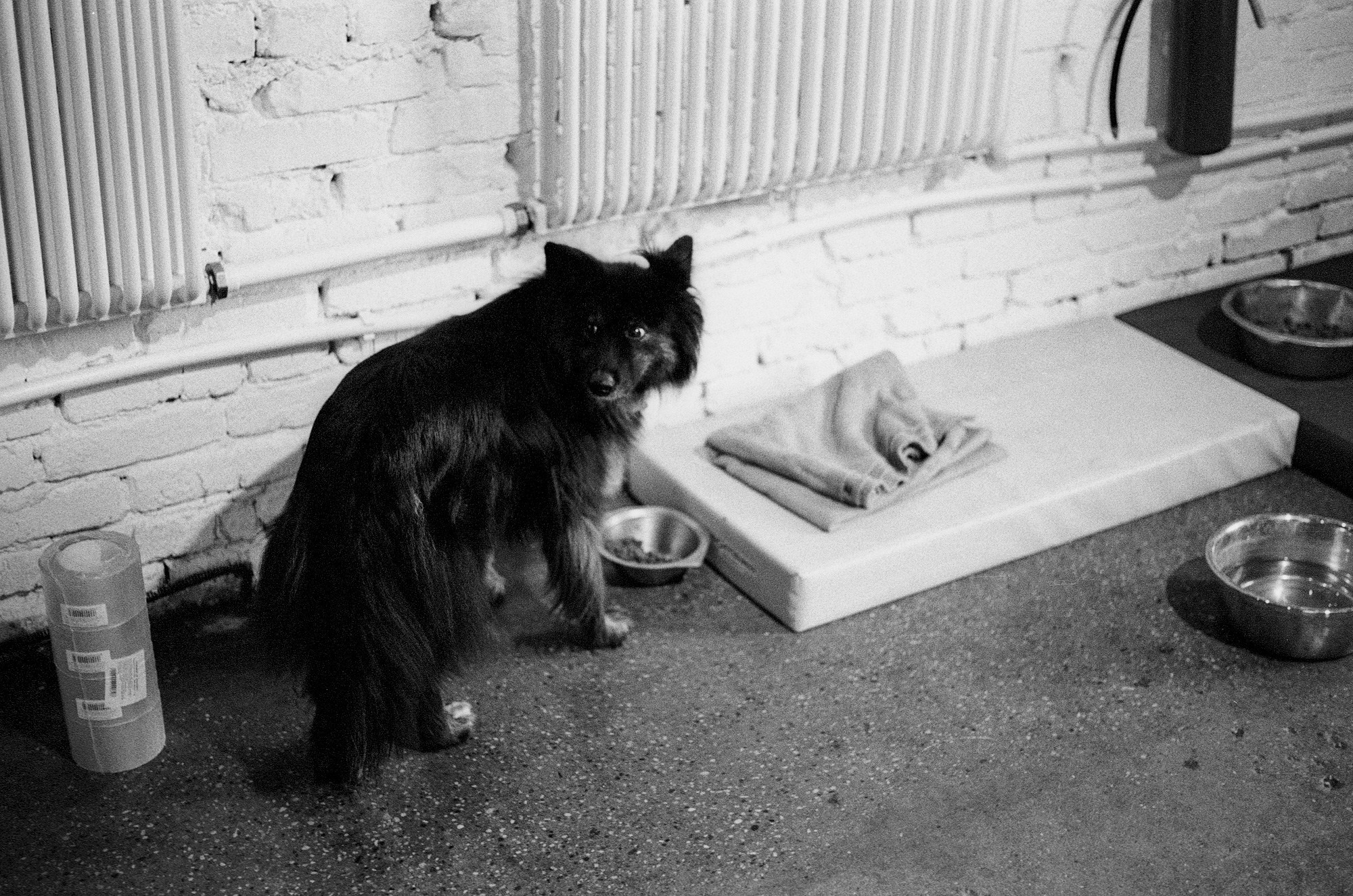 SuperFoodFarm. История фермы. Другой Павел Поцелуев. Фотограф в 2025 году