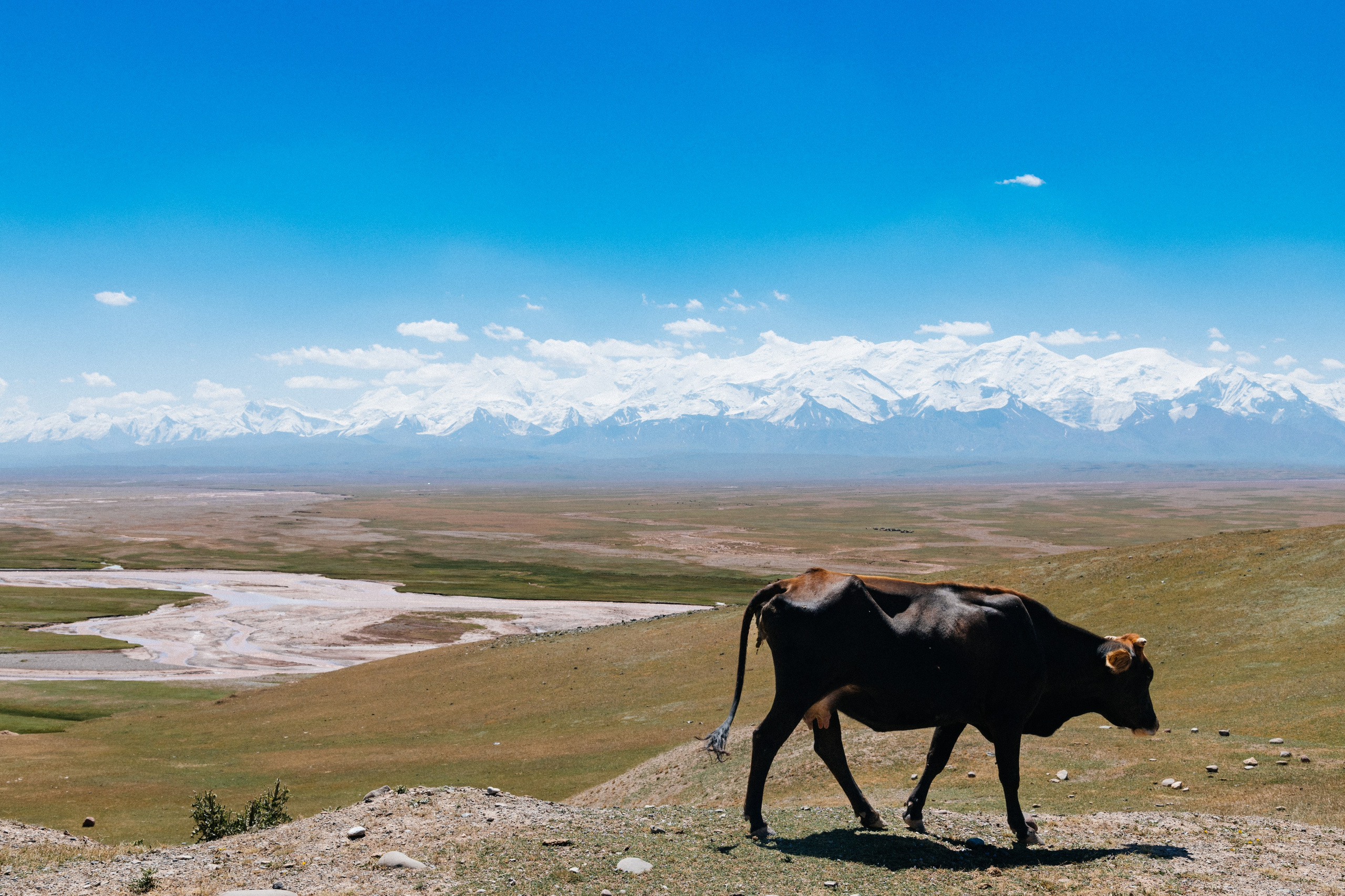 Средняя Азия подборка. Роман Свободный — интерьерная и архитектурная съёмка, Москва и МО