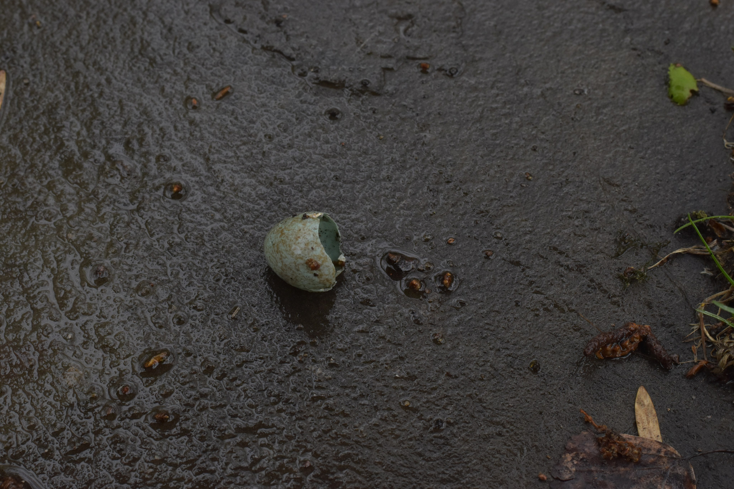 Добрый садовник (в процессе). Микс-медиа художница Надежда Пророкова