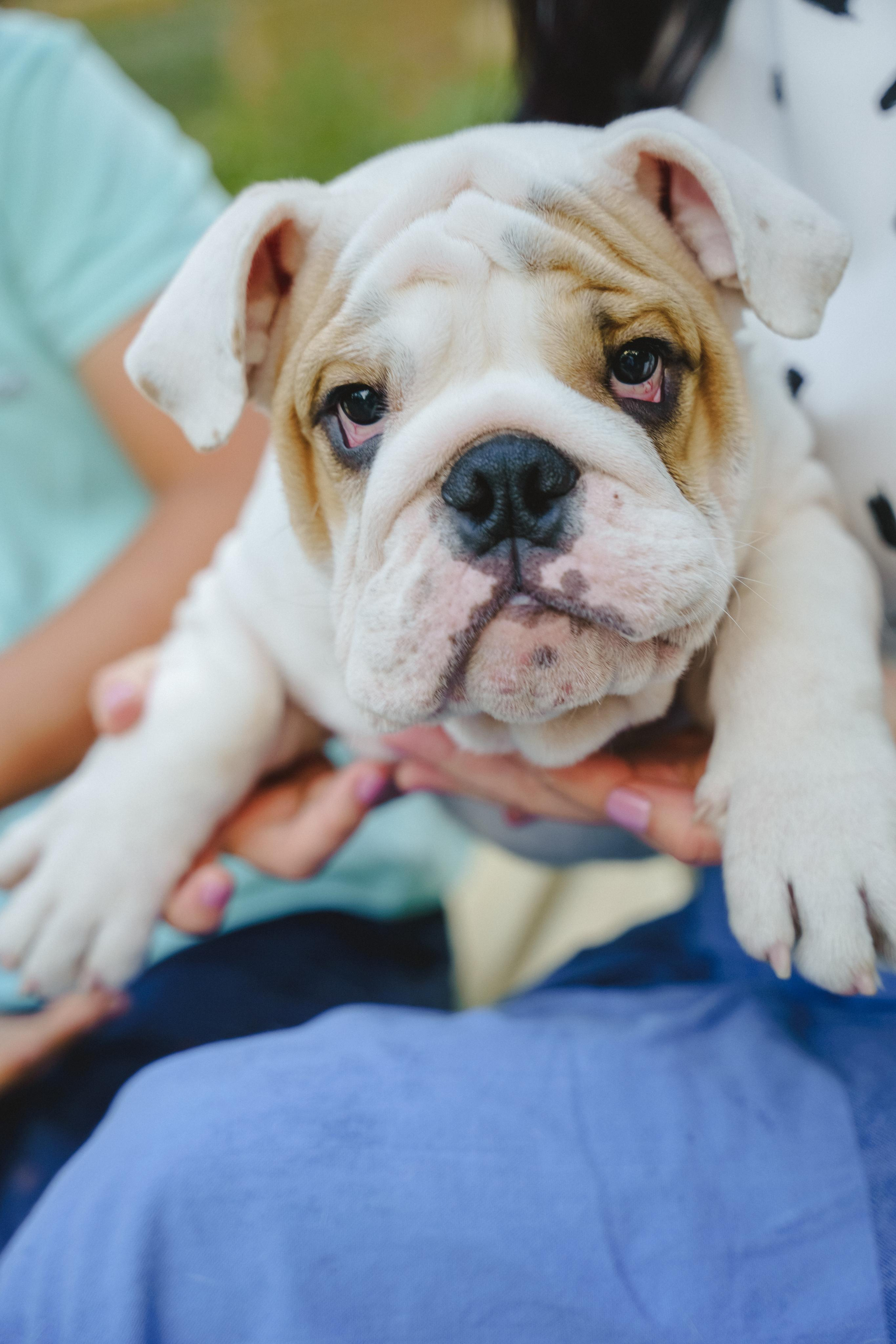 Семейная фотопрогулка Натальи, Лёни и Тоши. Фотограф в детский сад в Екатеринбурге, выпускные альбомы Юлия Умерова