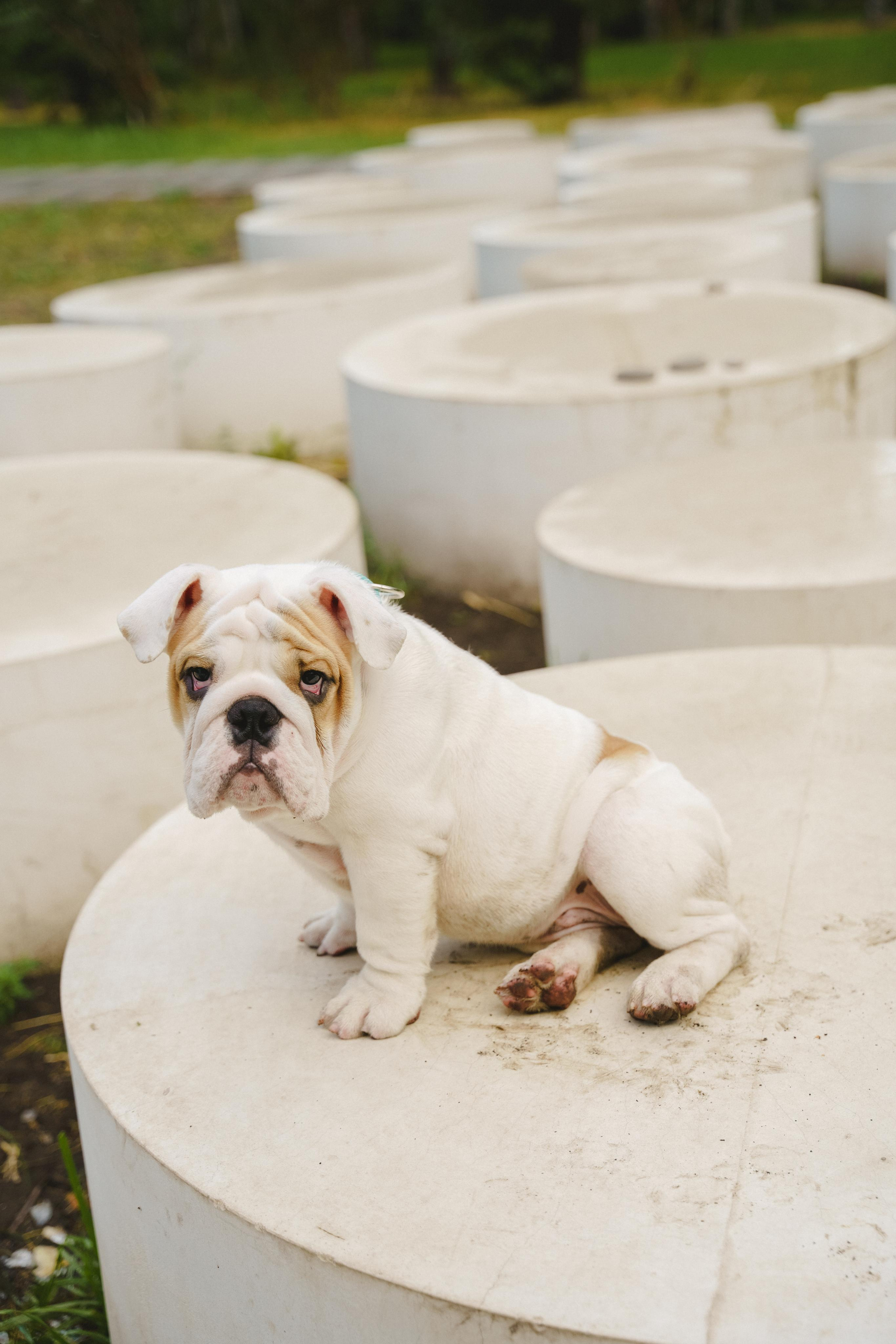 Семейная фотопрогулка Натальи, Лёни и Тоши. Фотограф в детский сад в Екатеринбурге, выпускные альбомы Юлия Умерова