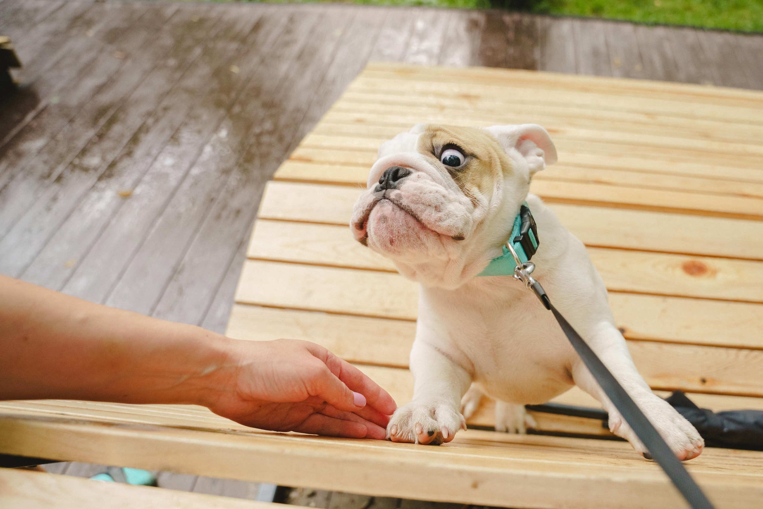 Семейная фотопрогулка Натальи, Лёни и Тоши. Фотограф в детский сад в Екатеринбурге, выпускные альбомы Юлия Умерова