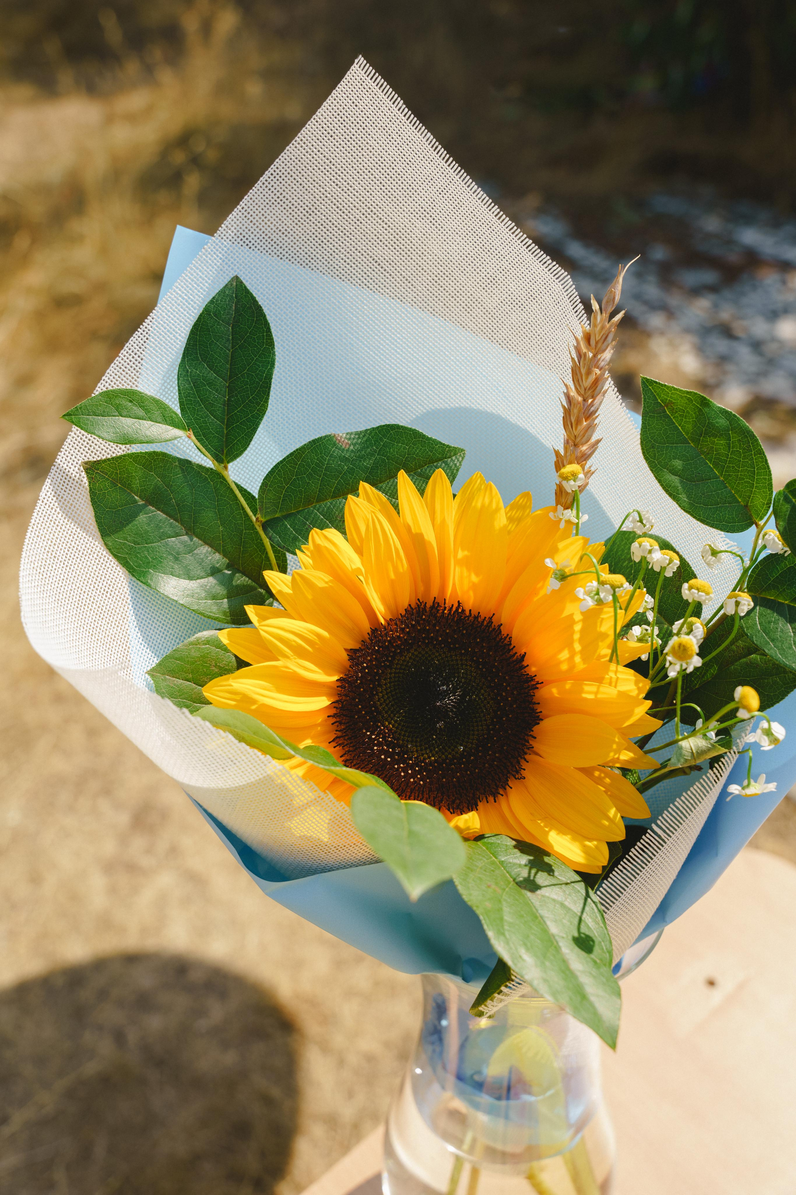 «Снова в школу» фотопроект на улице. Фотограф в детский сад в Екатеринбурге, выпускные альбомы Юлия Умерова