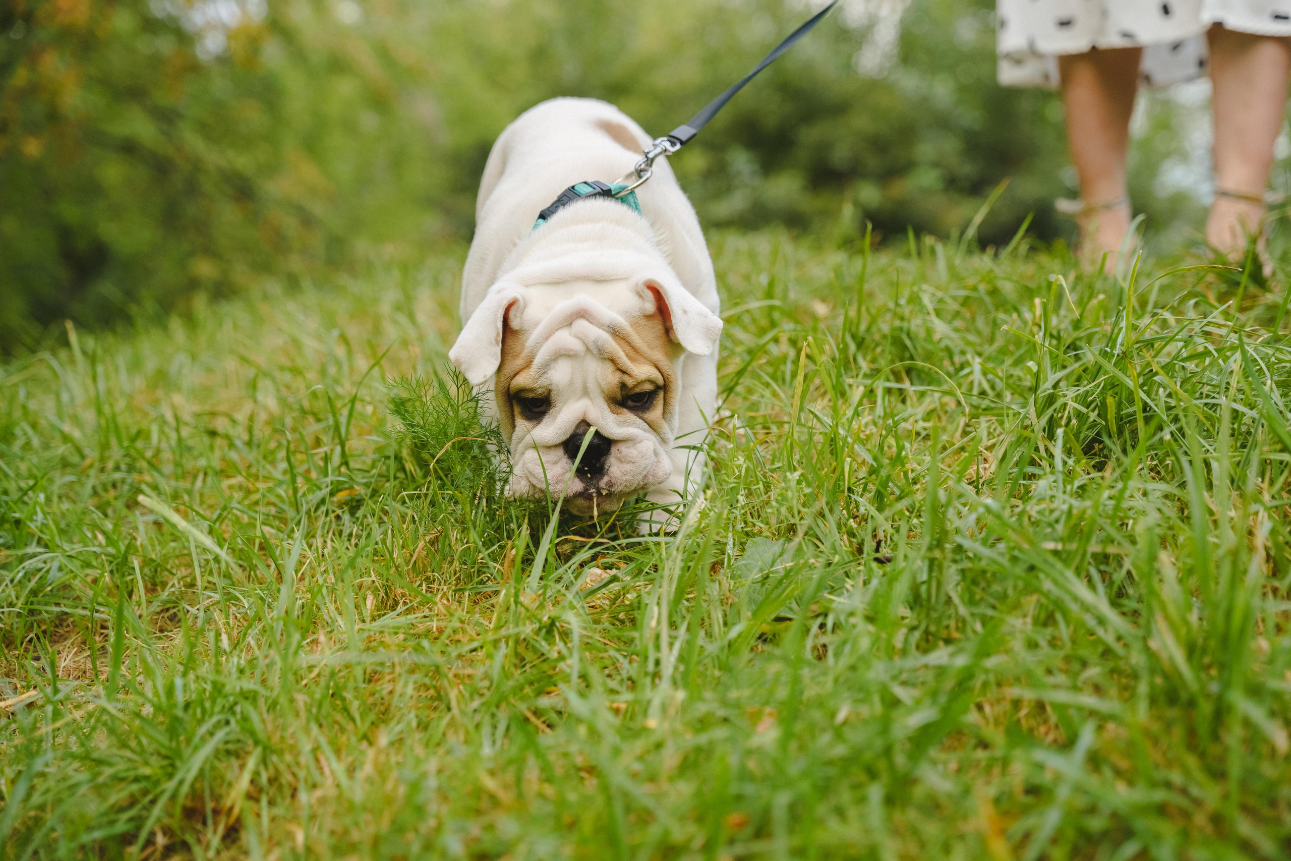Семейная фотопрогулка Натальи, Лёни и Тоши. Фотограф в детский сад в Екатеринбурге, выпускные альбомы Юлия Умерова