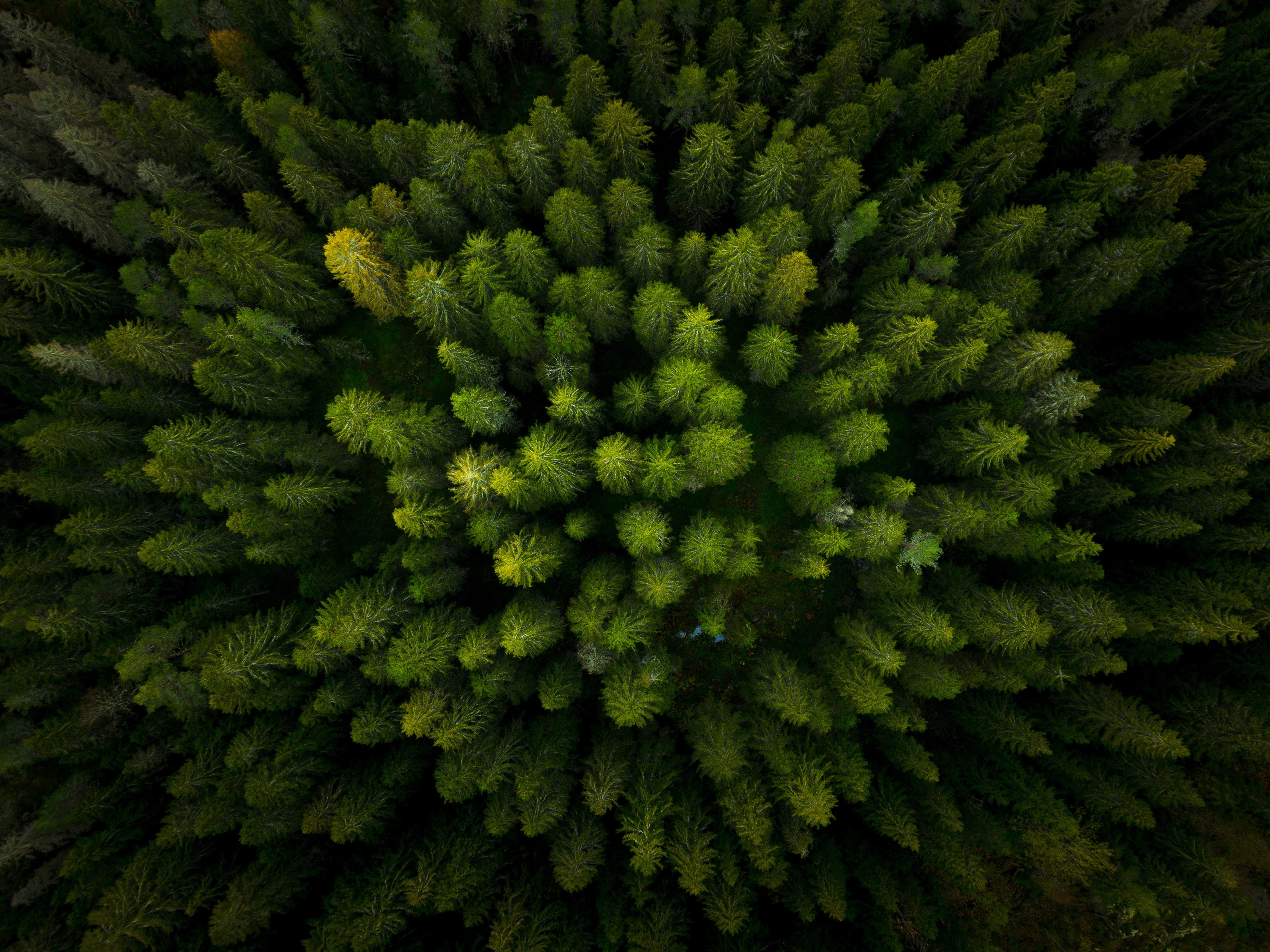 Материалы. Антон Ермаков | Коммерческий фотограф в Москве