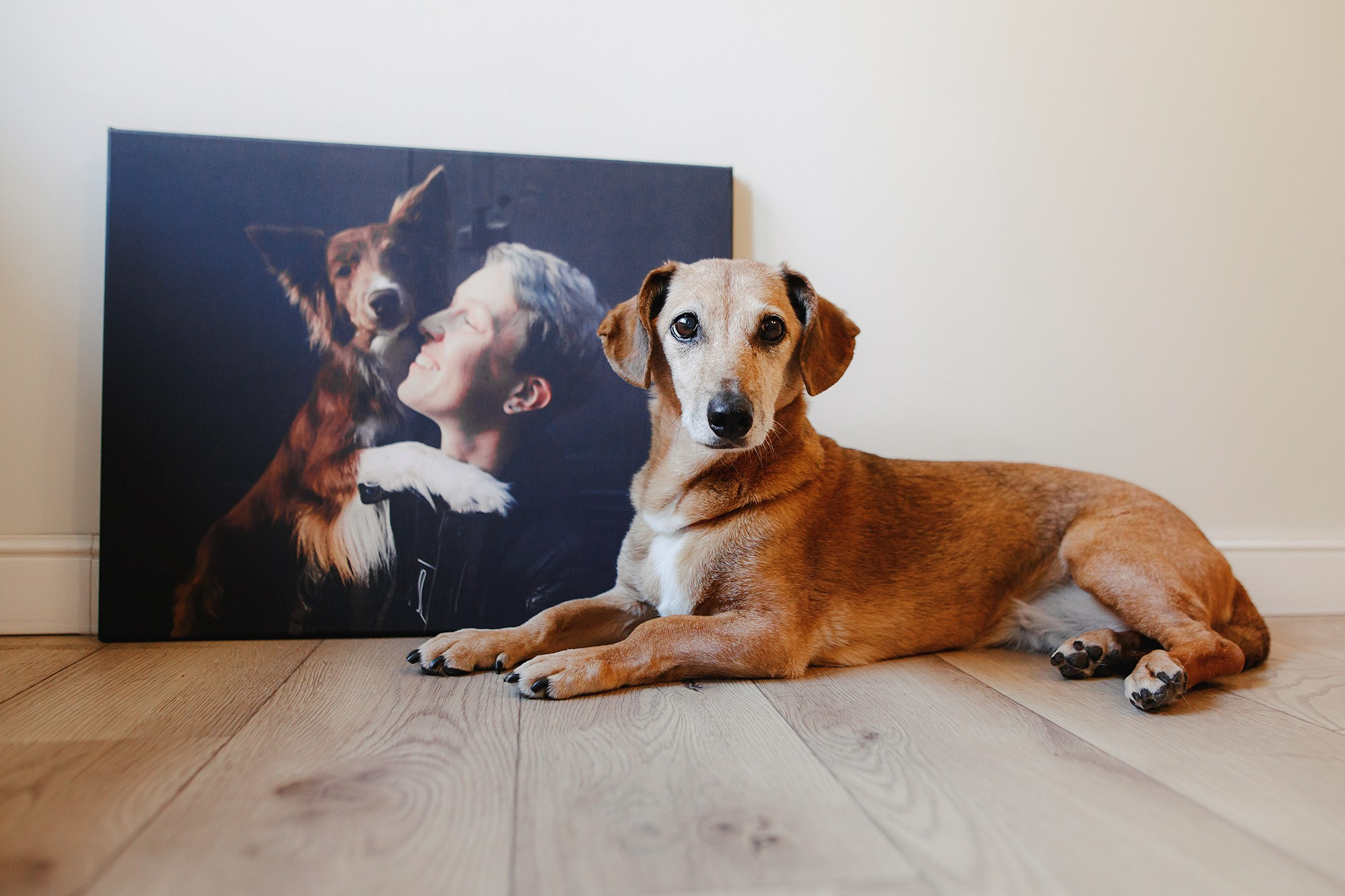 Фотограф-анималист Mary Mart — Москва, Питер