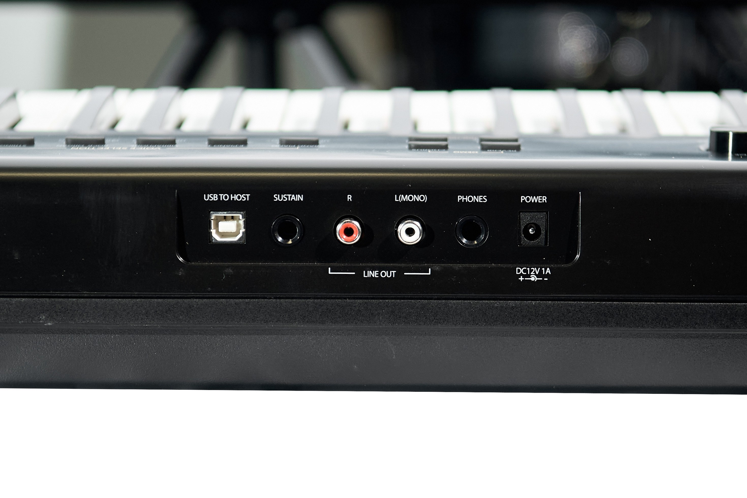 Фотограф — Данилов Михаил. Бизнес и контент фотограф — Михаил Данилов | Москва, Видное, Домодедово