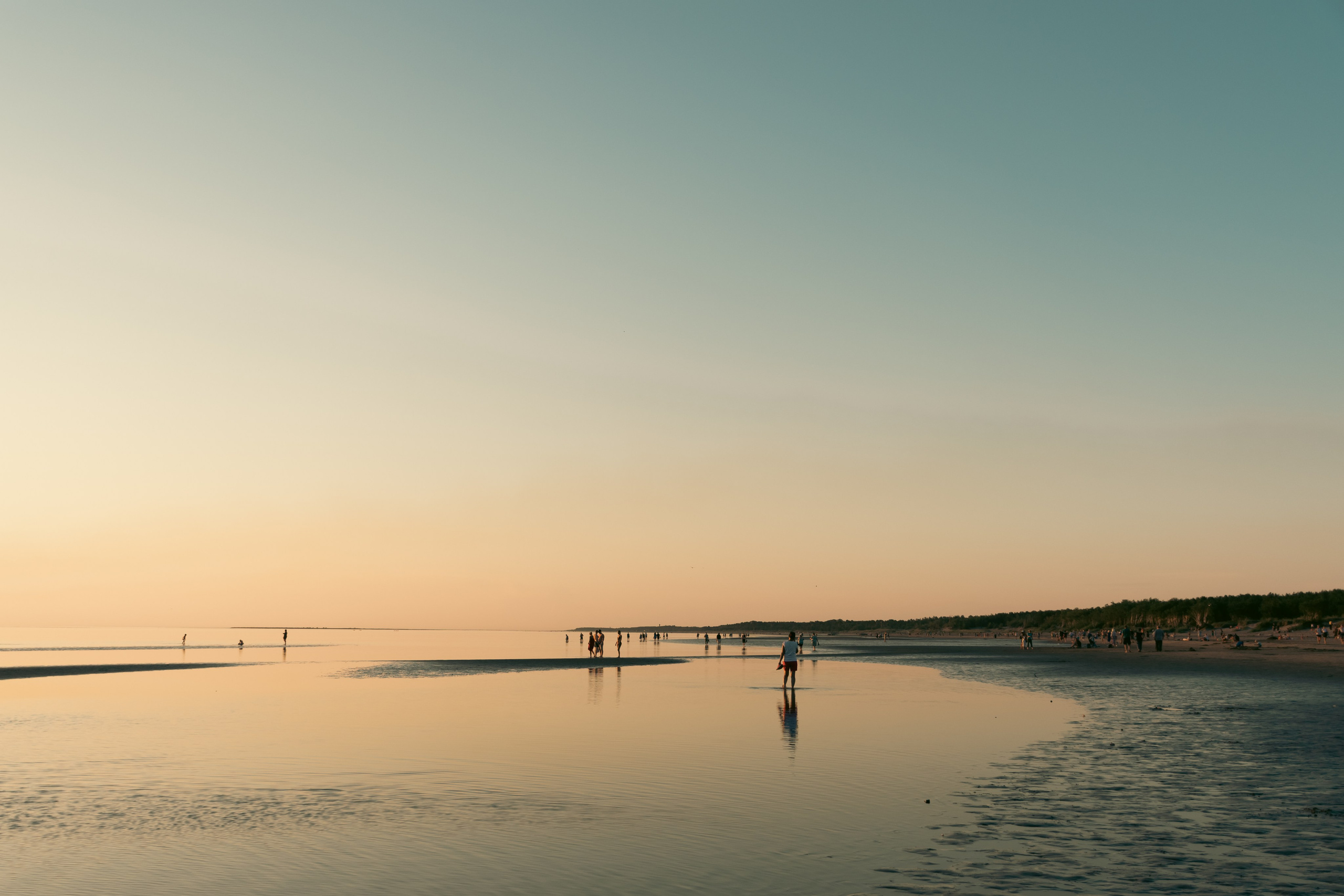 Архангельская область, Двинская губа. Фотограф в Москве Максим Скоробогатов