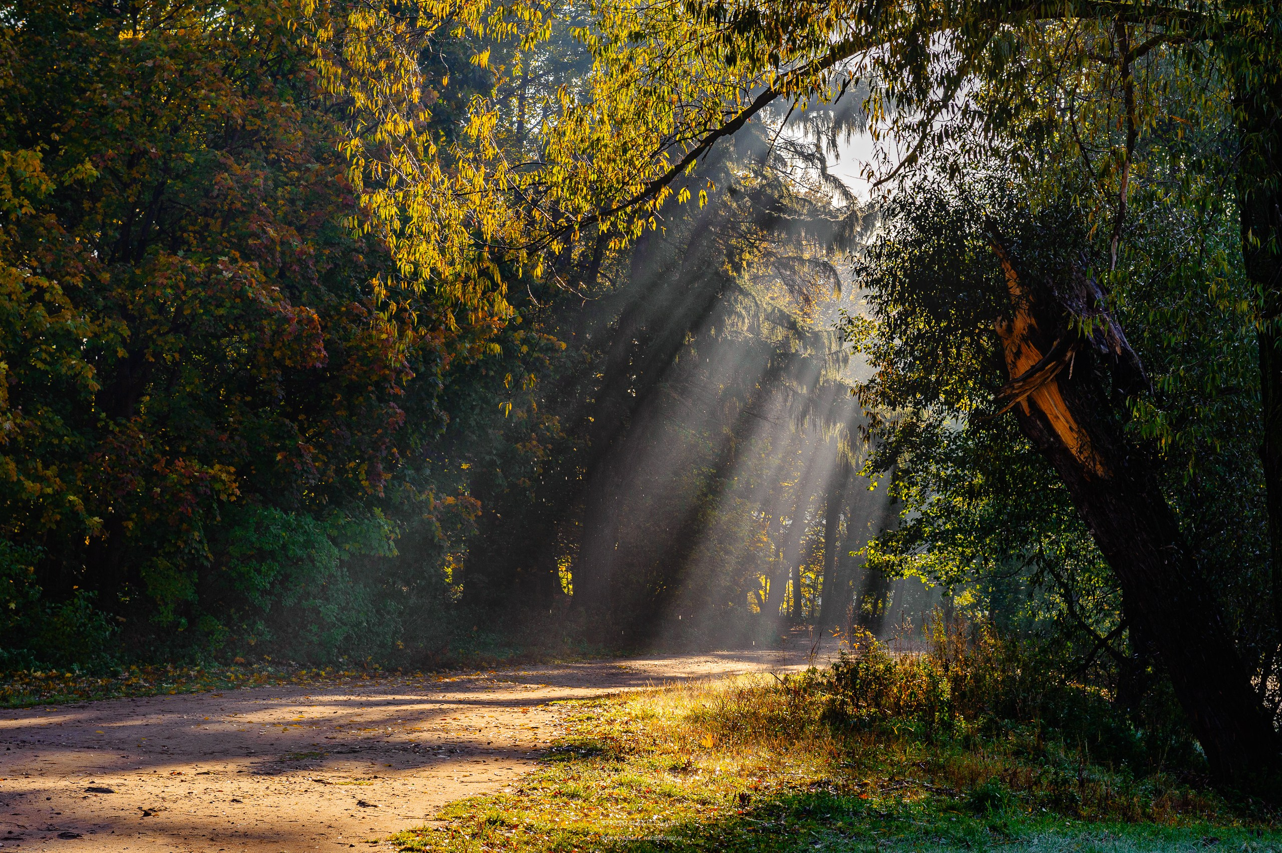 Что такое осень?. Авторские стильные фотокартины