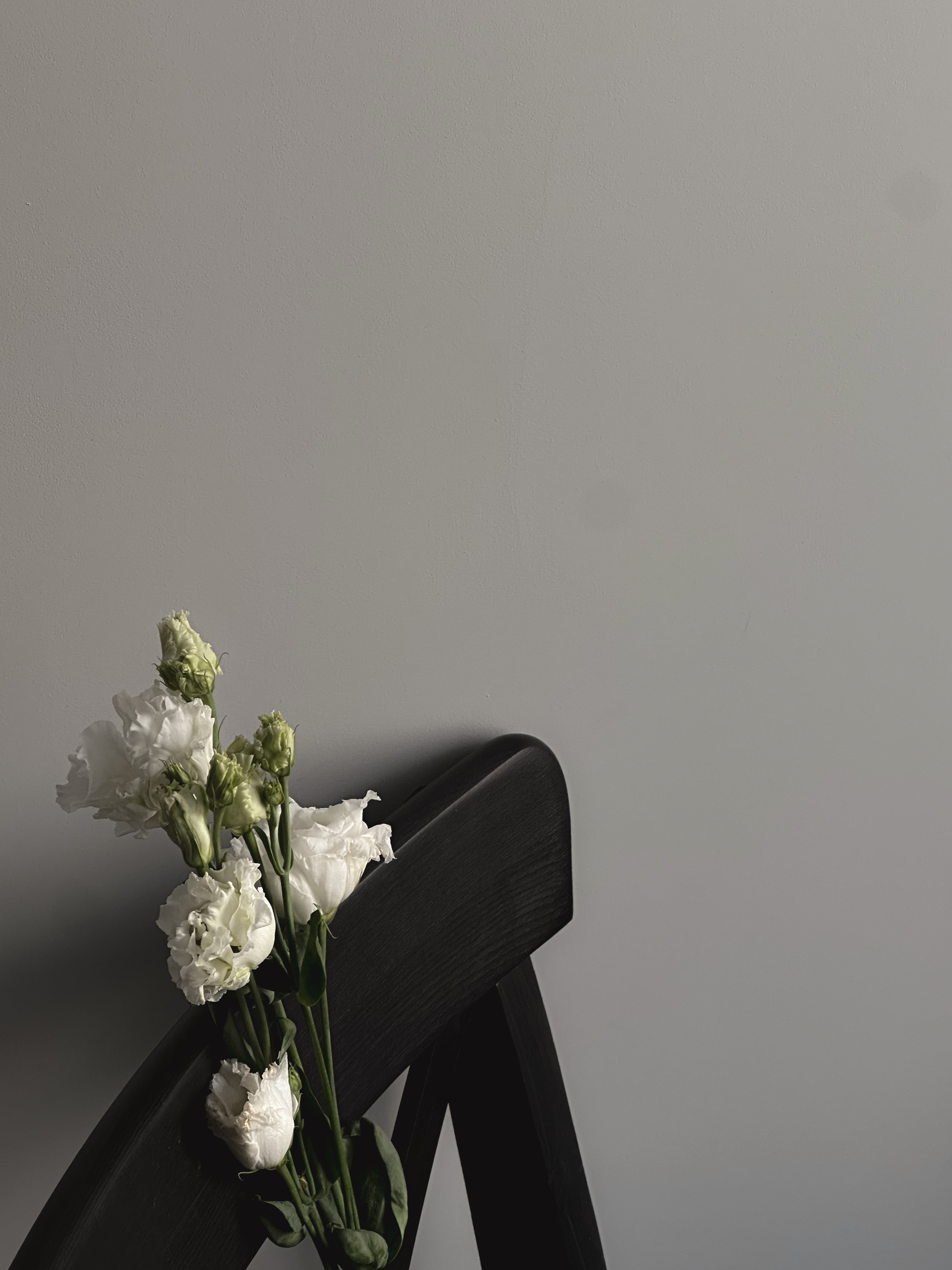 Мобильная съемка. Интерьерный фотограф в Санкт-Петербурге Диана Аносова