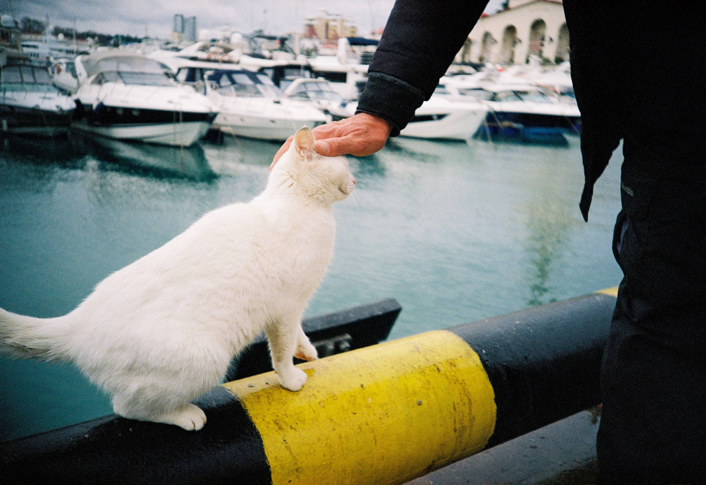 Плёночные фотографии. Фотограф — Василий Стабров