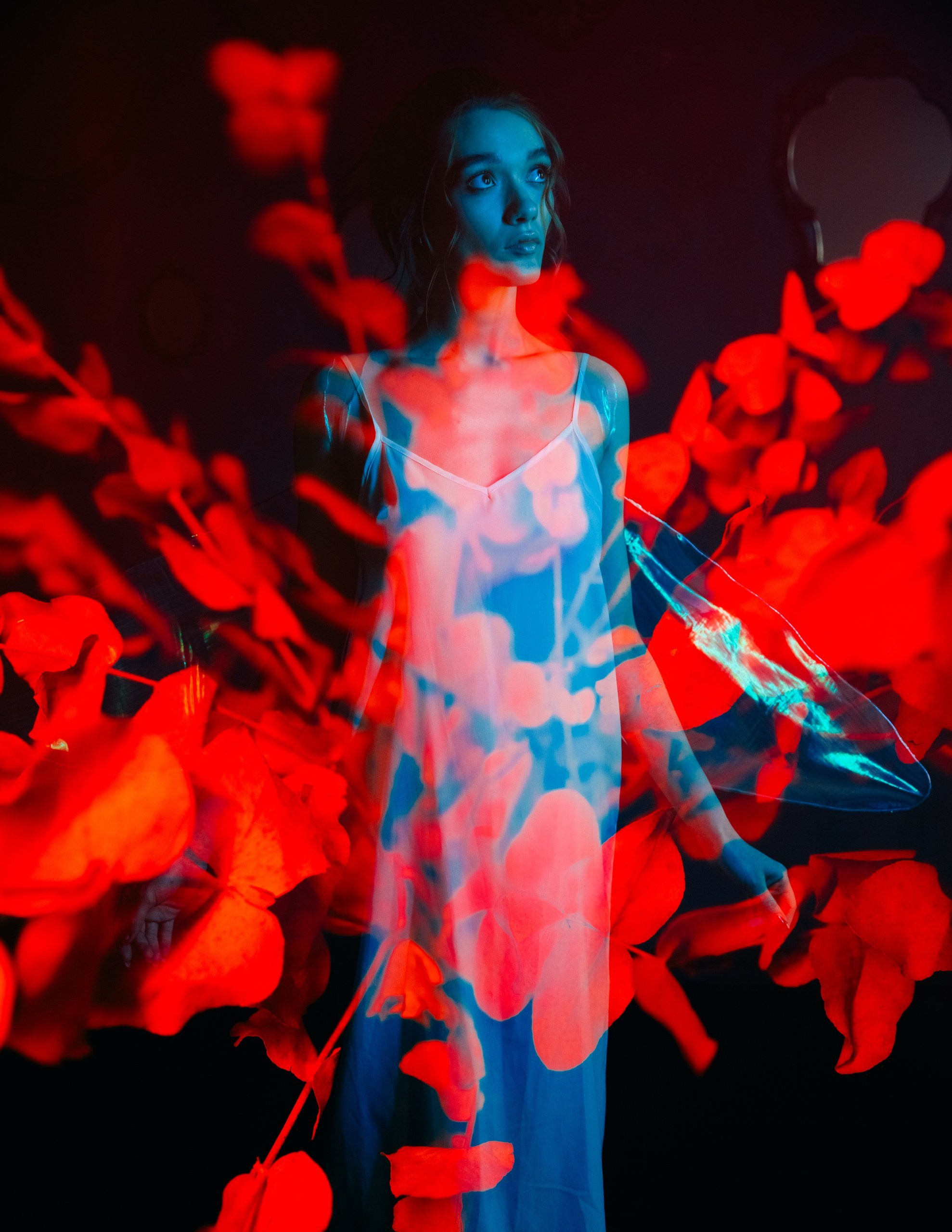 Сказочная фотосессия в Новосибирске — Роман Лахмыткин