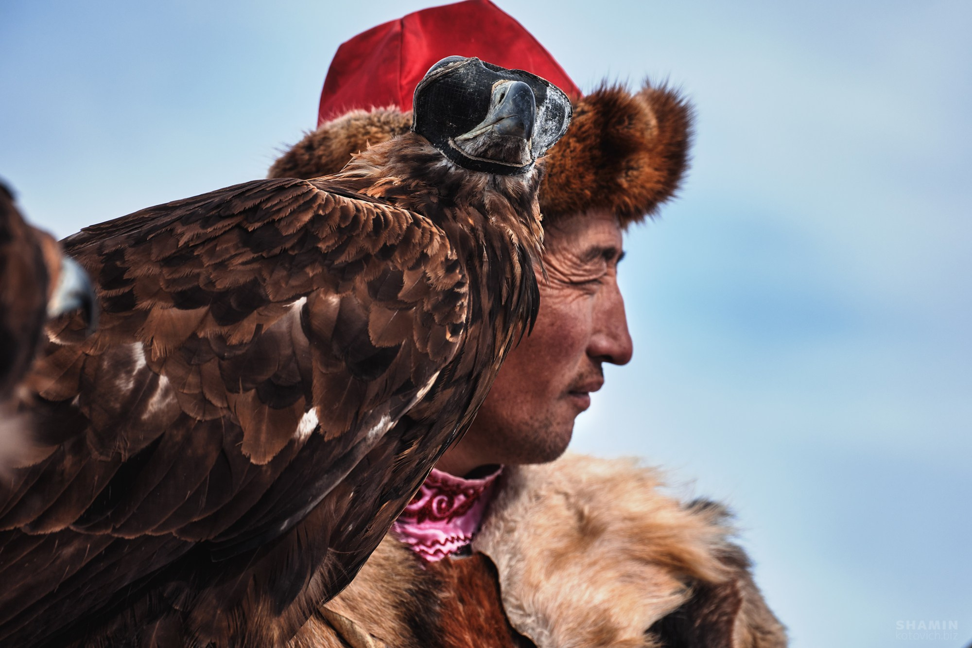 Проект 365. Фотограф Константин Шамин