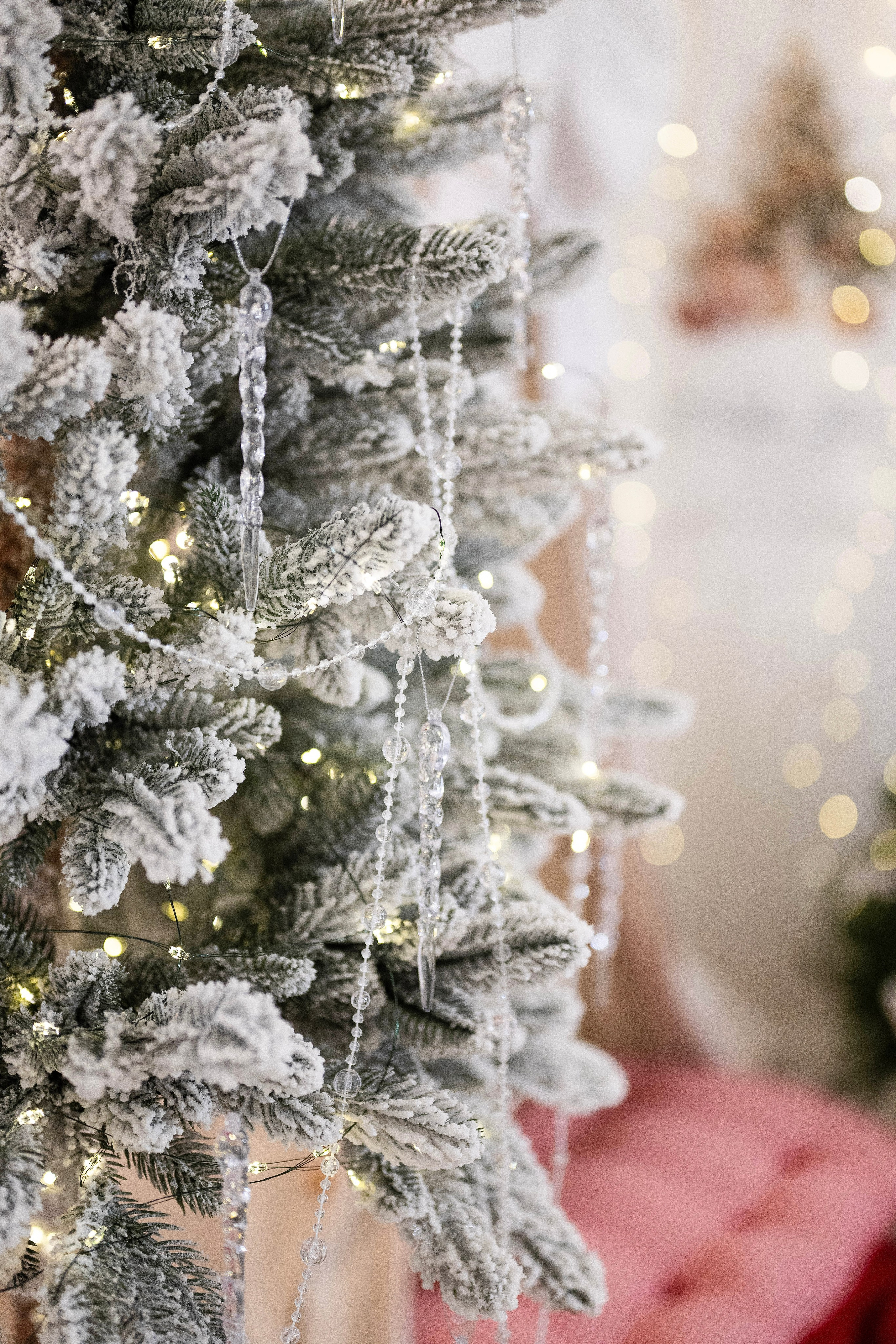 НОВОГОДНИЙ СЕЗОН 25/26 с 15.11 по 15.01. Семейный и детский фотограф в Красноярске Мила Черкасова