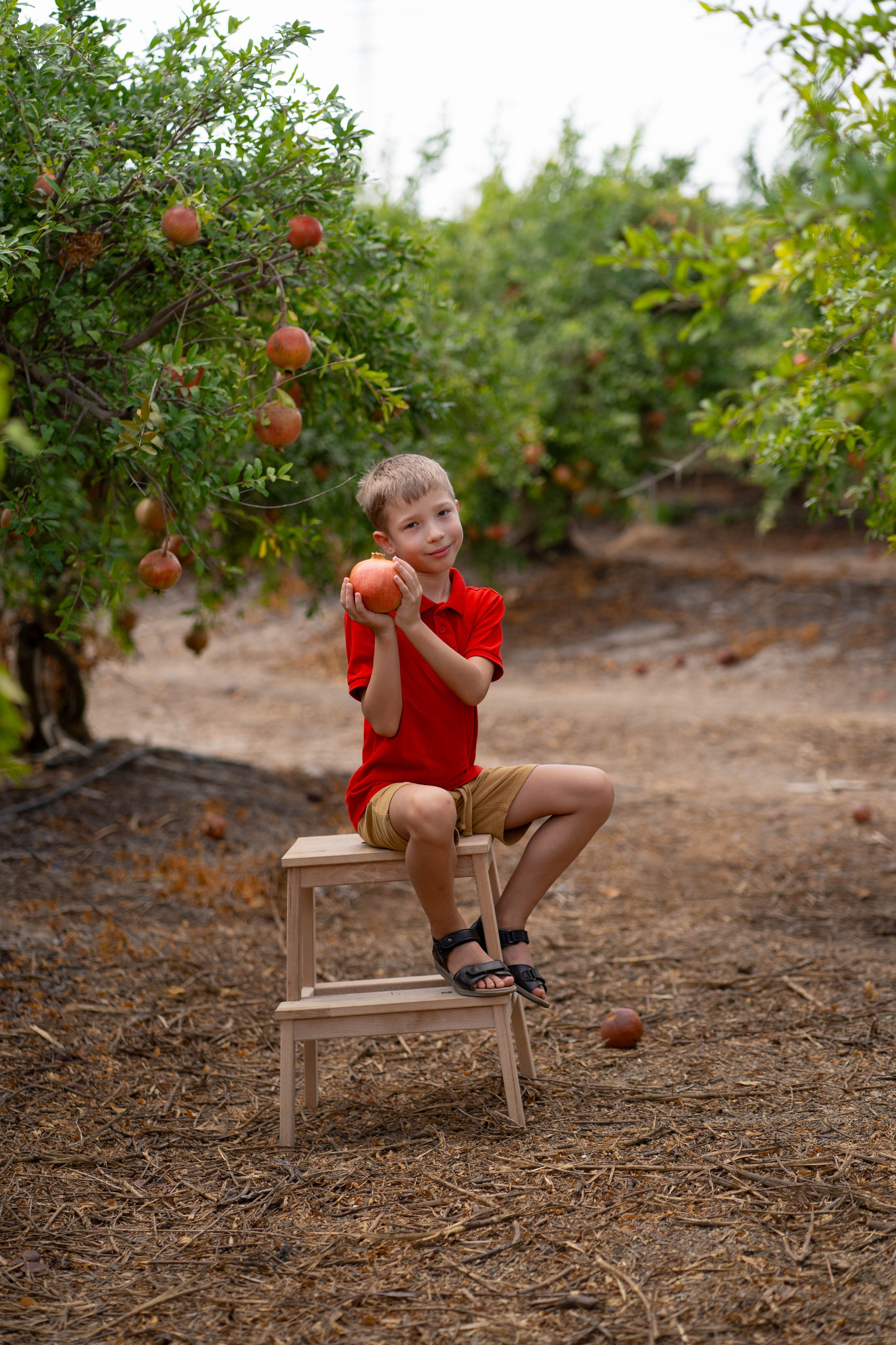 Гранатовый сад. Семейный и детский фотограф в Израиле и Москве Дорошок Надя