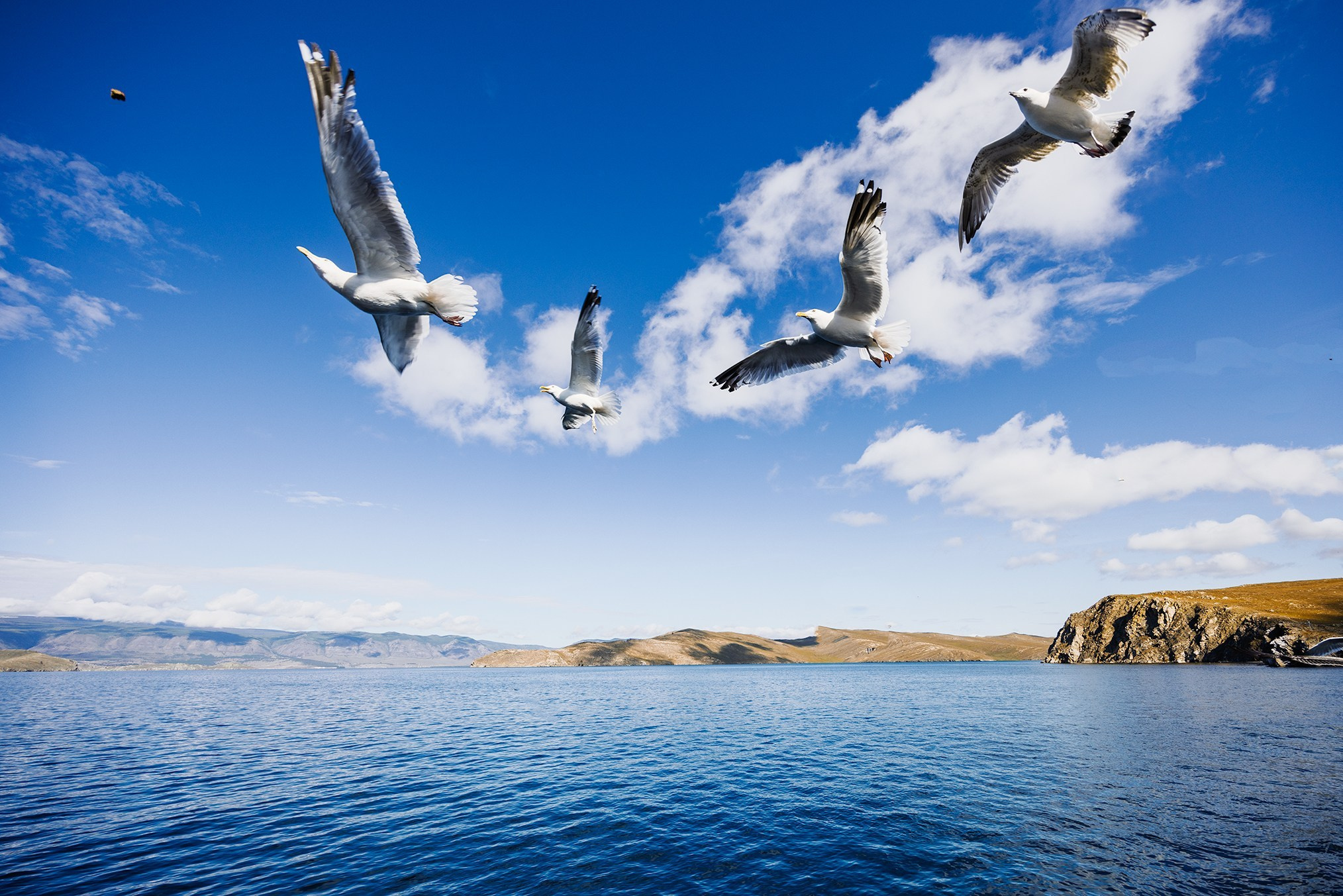 Байкал. High-quality interior photos for your home, office, hotel