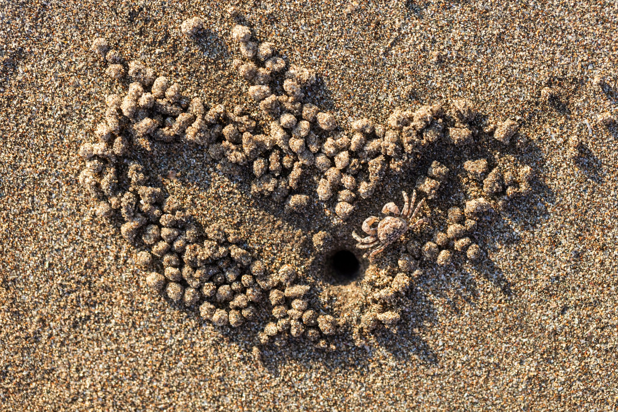 Фактуры. High-quality interior photos for your home, office, hotel