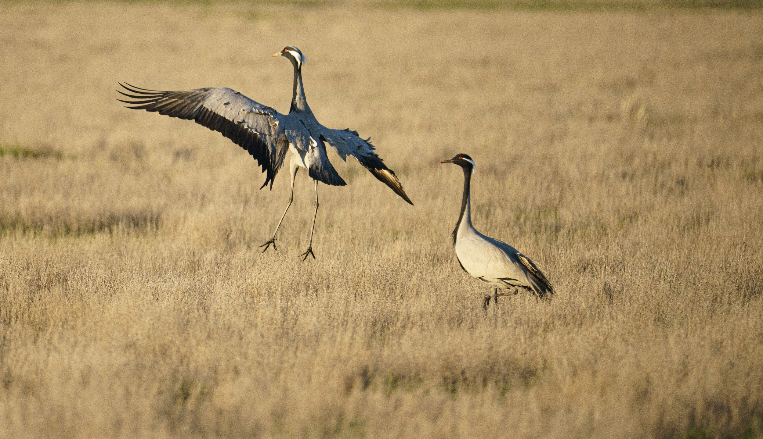 Учебный фототур на Эльтон. Июнь