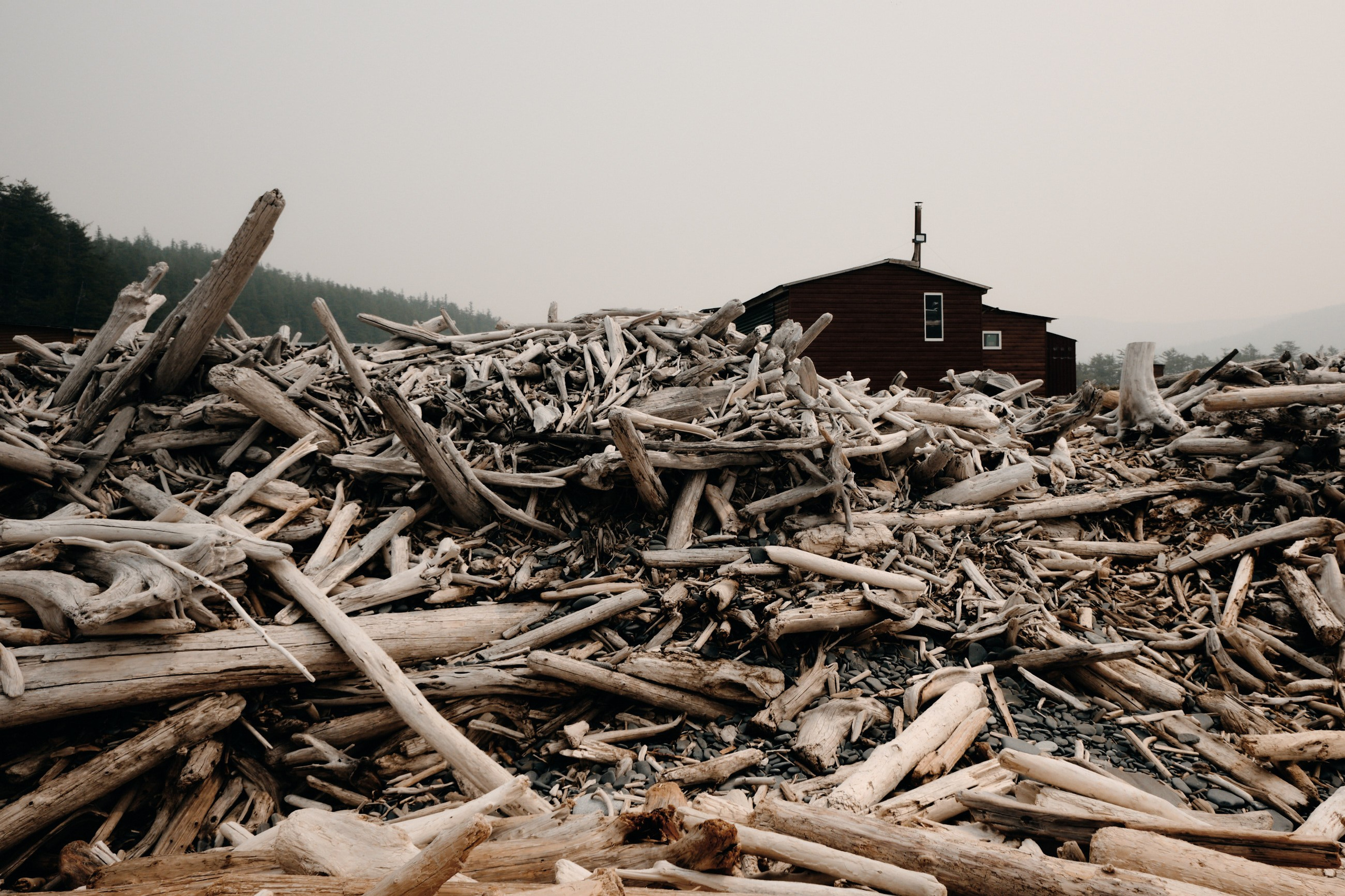 Главная. Юрий Березнюк. Фотограф в Новороссийске. Фотожурналистика