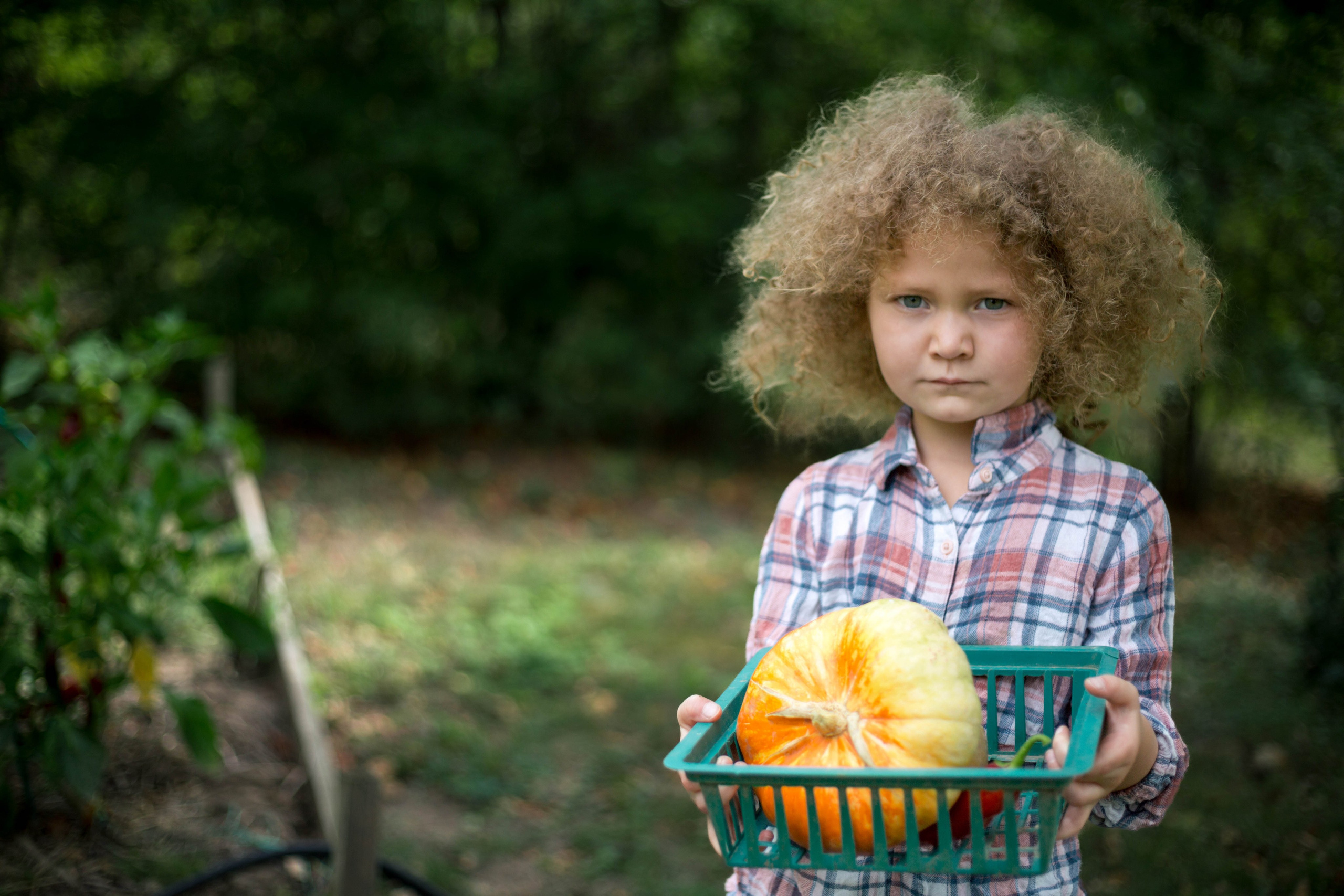 Foto-creator Alisa Zobova