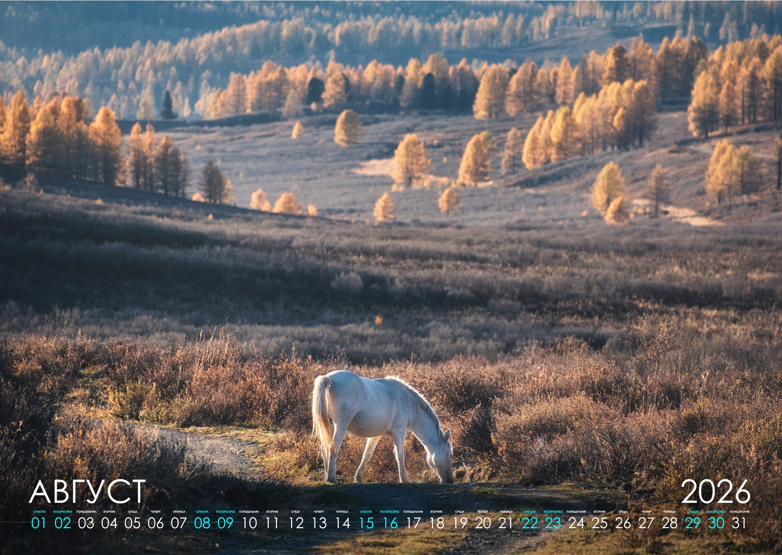 Календарь 2026. Фотограф Константин Шамин