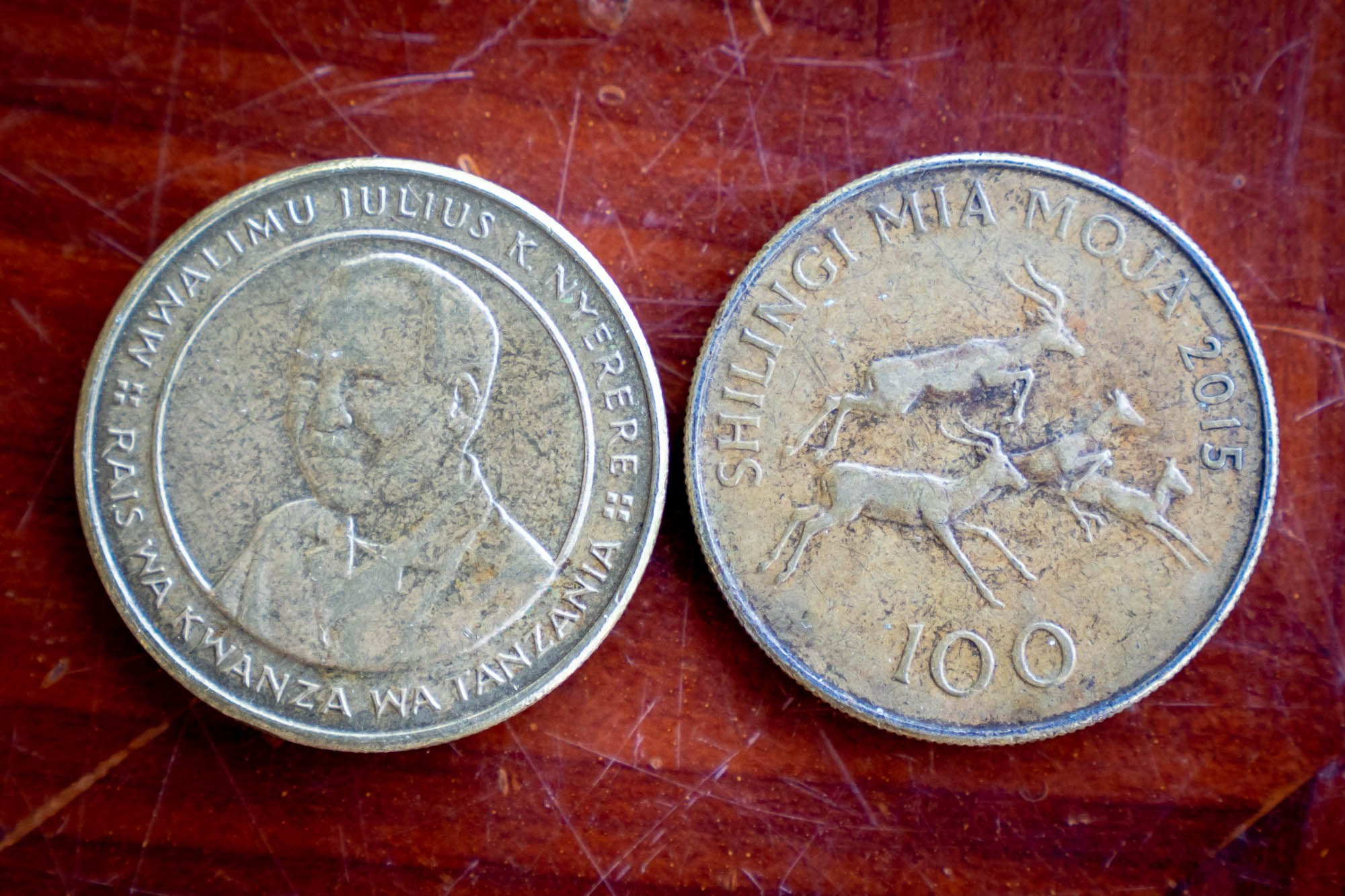 Остров Занзибар, г. Стоун Таун (Занзибар) Zanzibar Island, Stone Town (Zanzibar). Фотограф Алексей Скоробогатько