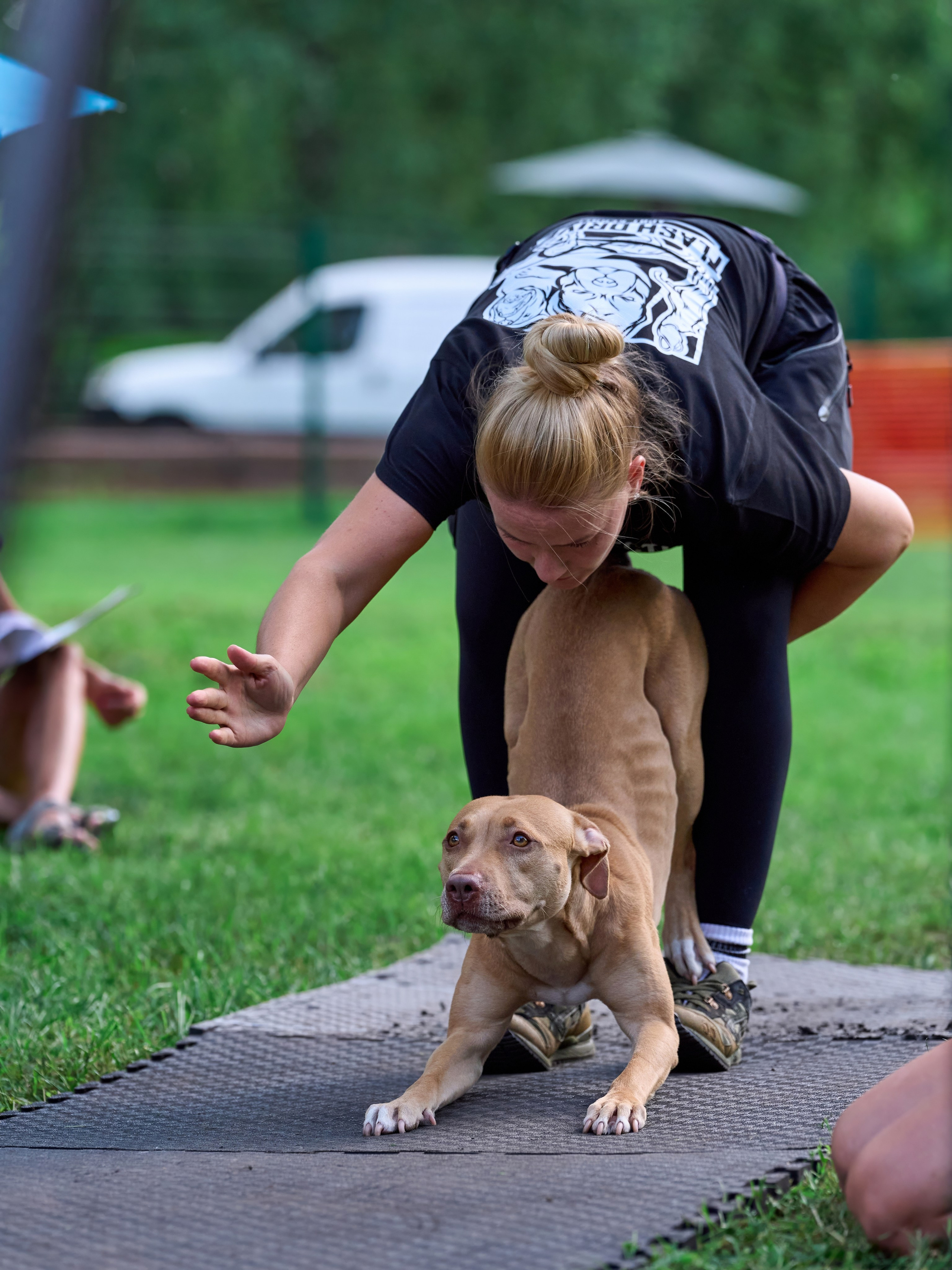 Двухдневные соревнования «Jump'n'Gym Fest — 2024». Фотограф-анималист Михаил Манухин