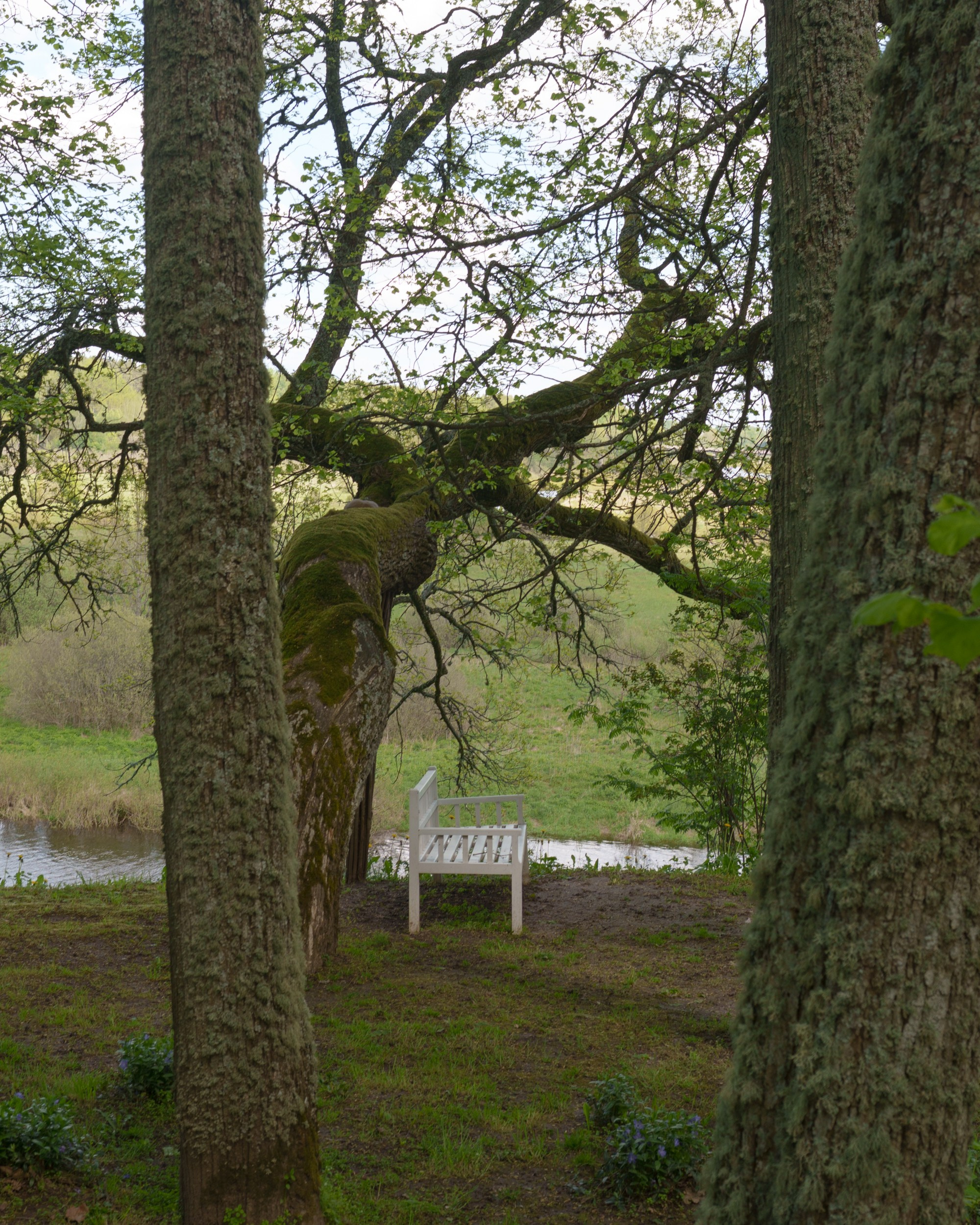 Onegin's Bench in Trigorskoye