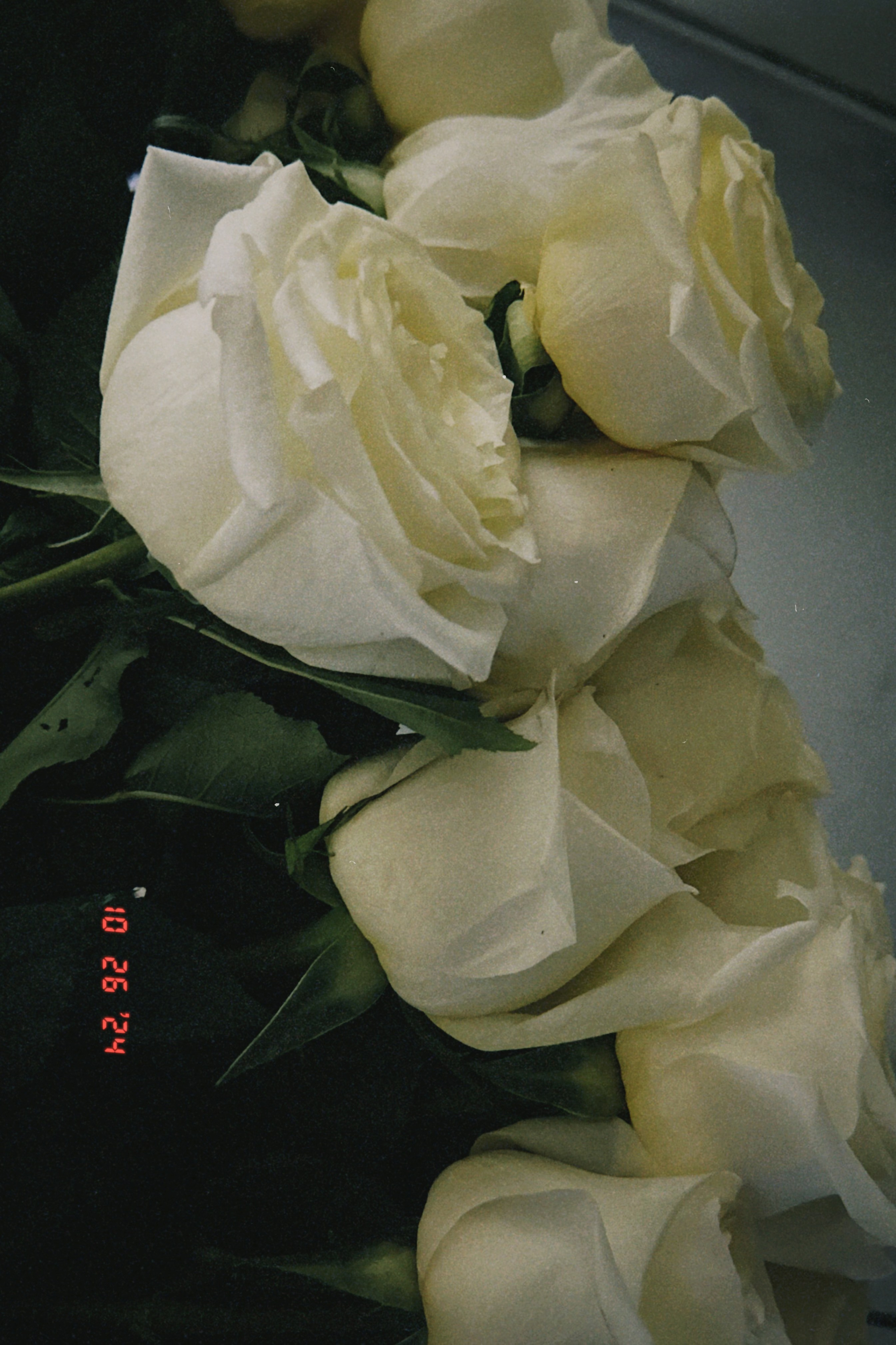 Репортажная фотосъемка во Владивостоке. Портретный, свадебный, репортажный фотограф во Владивостоке Юлиана Джули Фокс