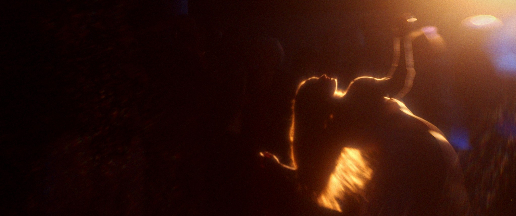 FIREBIRD (2024). ALEXEI RODIONOV