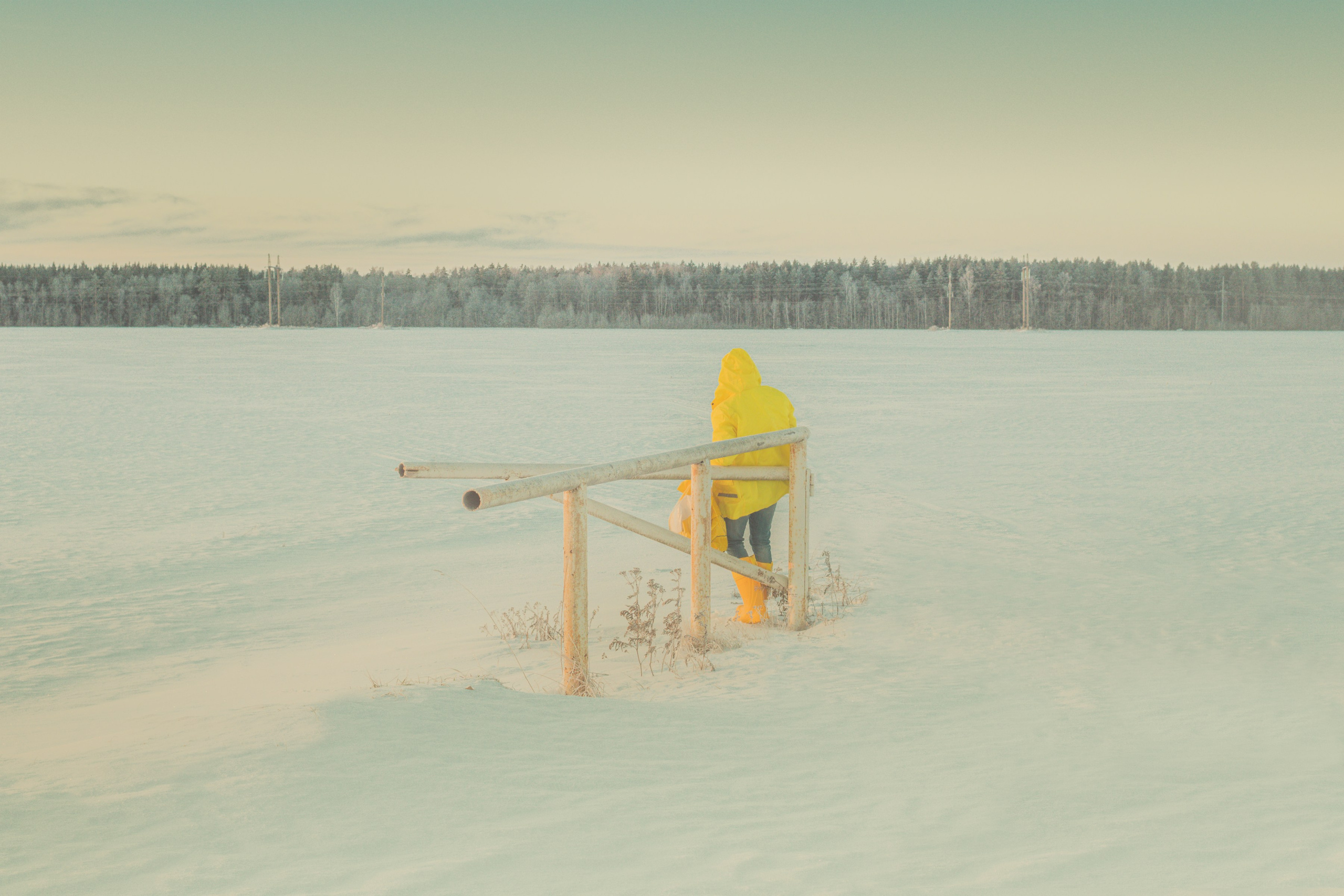 Курьер. ALEXEY KRYLOV | Photography