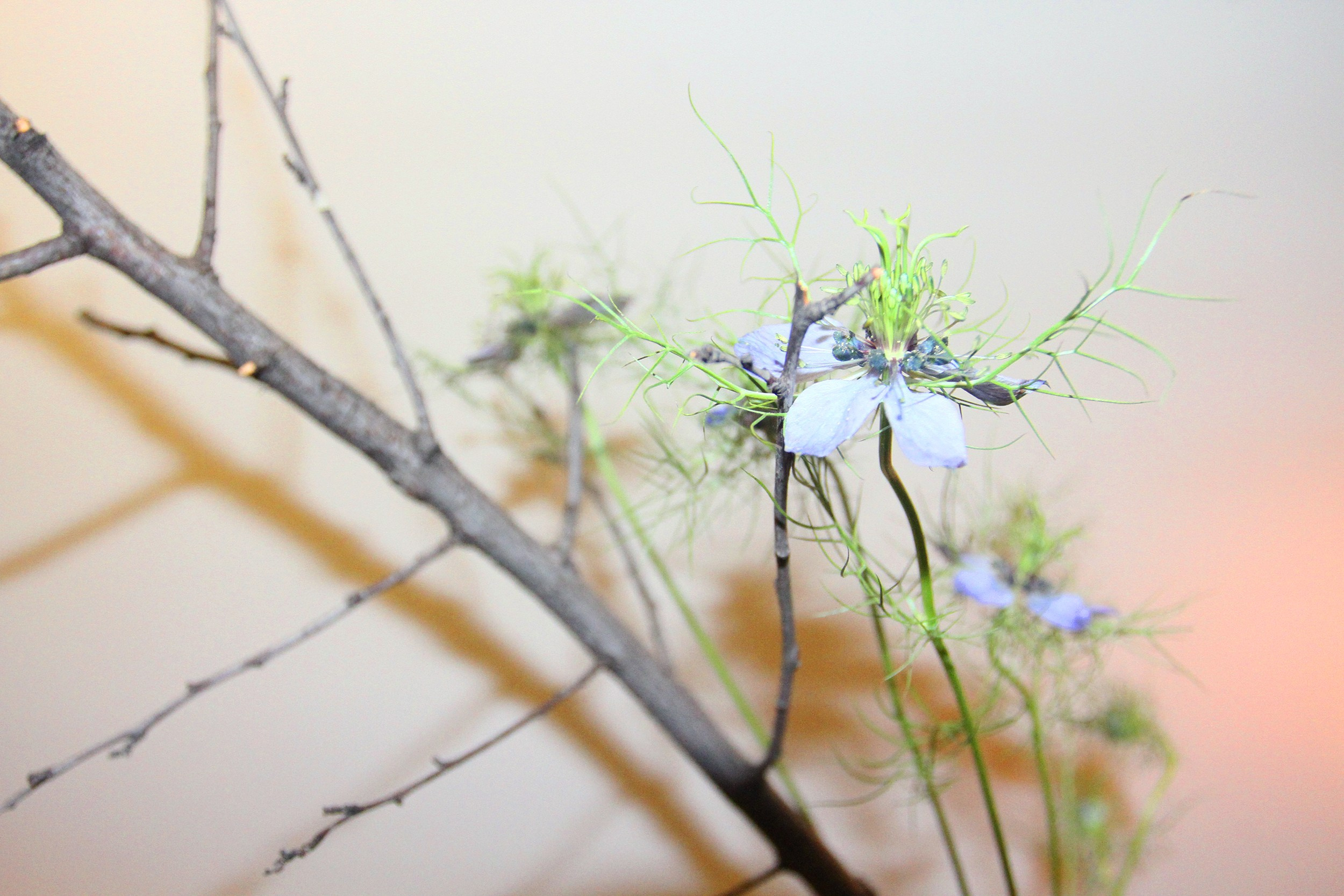 Флористическое оформление выставки. KST