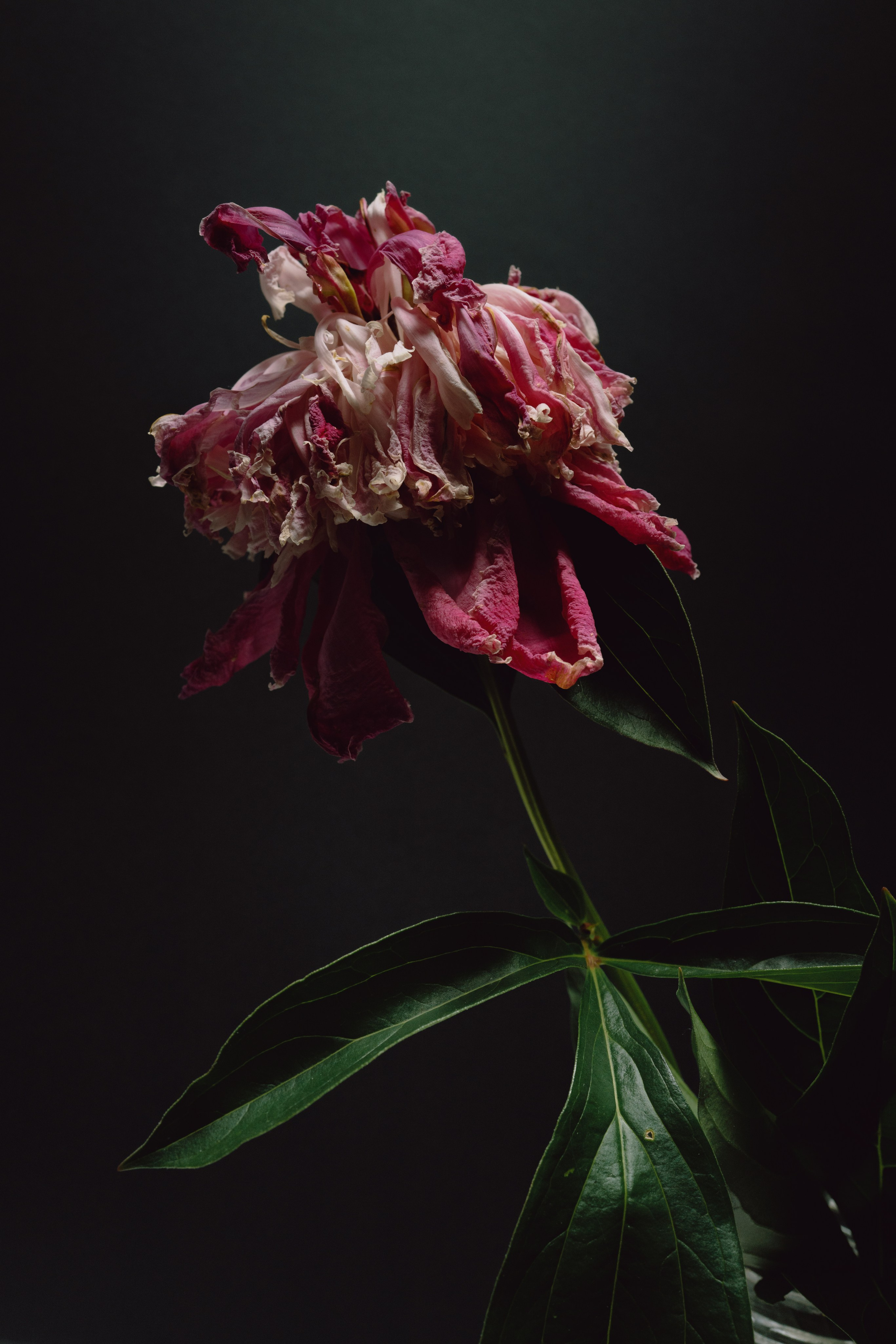 г.Кирово-Чепецк, 25.06.2025