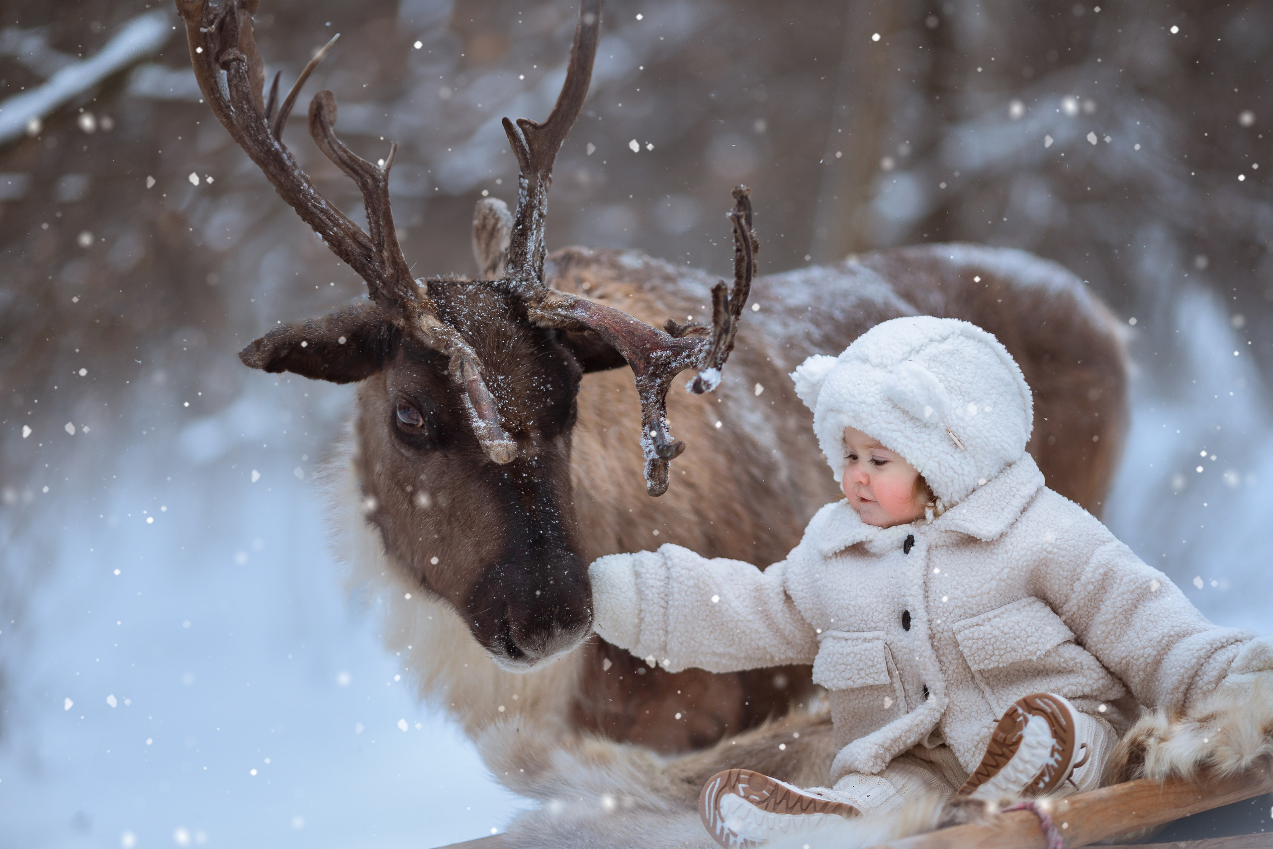 Фотосессия с оленями. Фотограф Лия Милк | Москва, Подмосковье