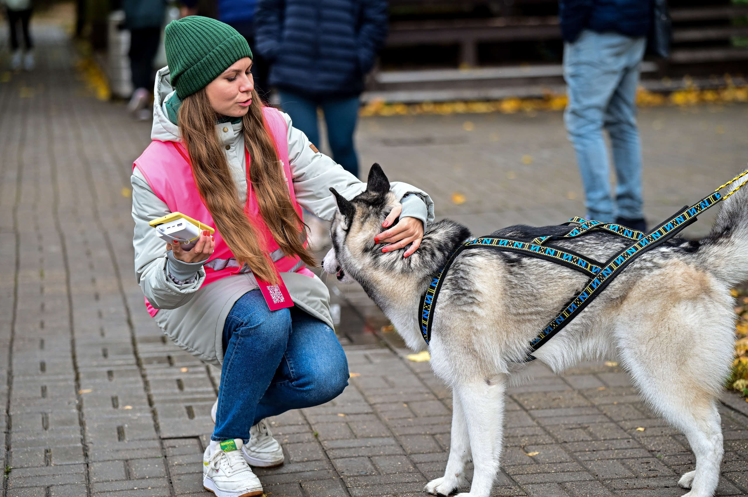 S95 Кузьминки Предмарафонский (12.10.24). Фотограф | Ирина Гамзинова | Москва
