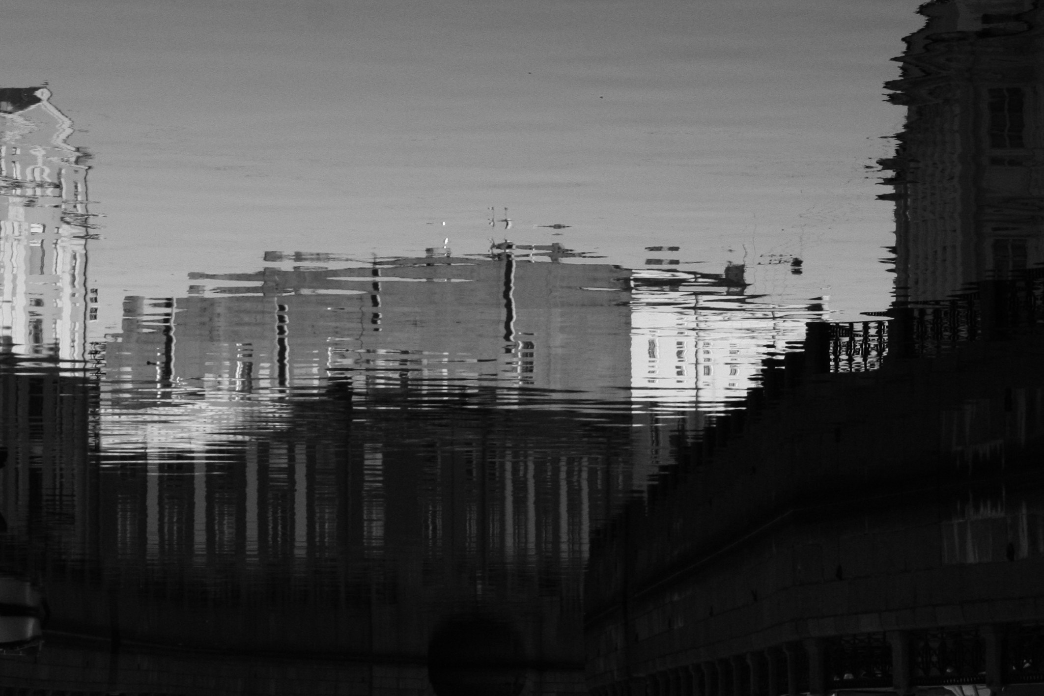 Санкт-Петербург. צלם ואמן ילדים ומשפחה