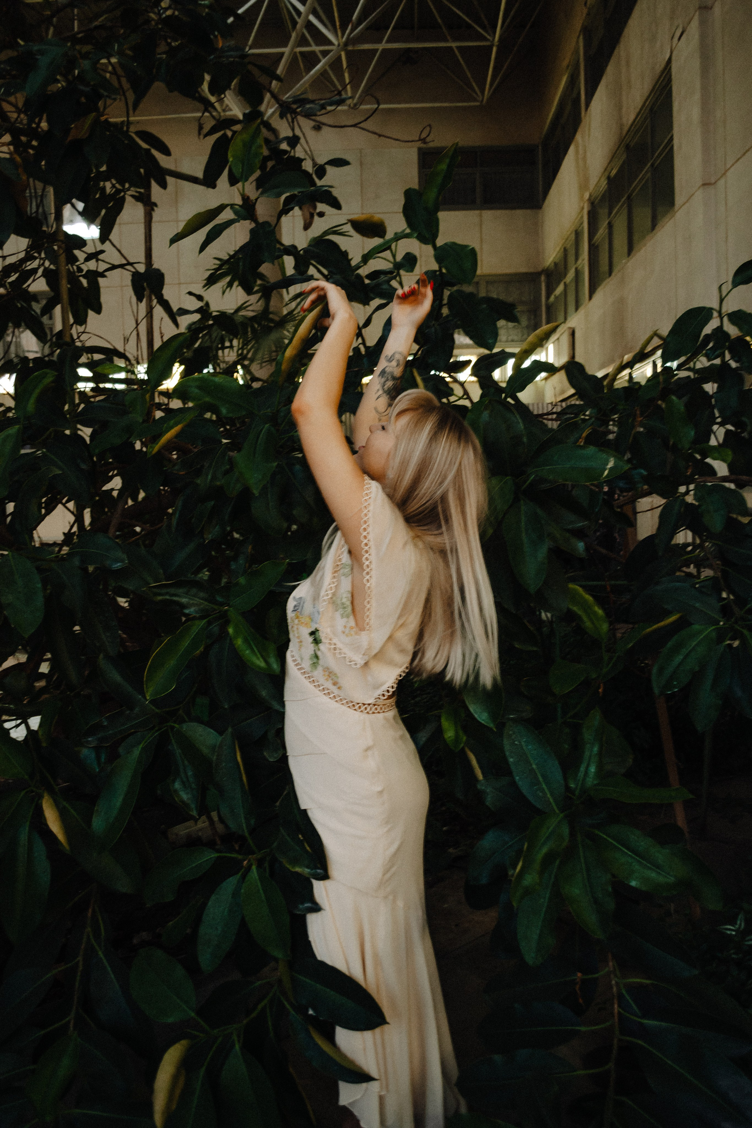 Зимний сад. Фотограф Настя | Экспедиции и лайфстайл