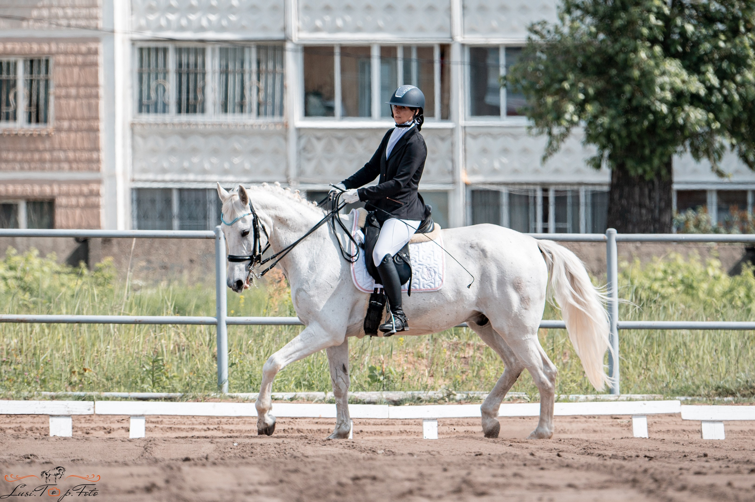 Областные соревнования по выездке. Тверь. Конный и фотограф с животными в Твери Топталова Люся