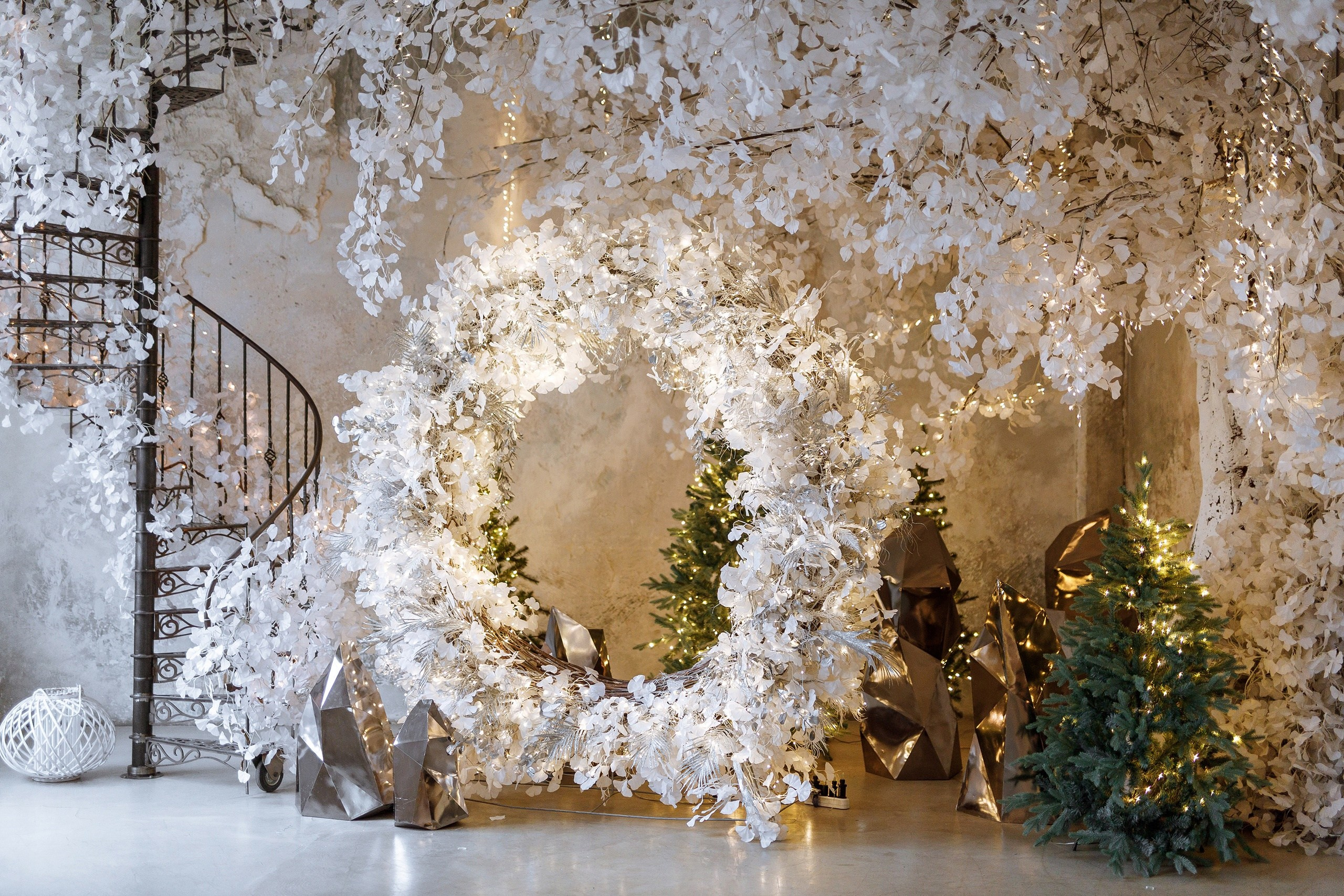 Студии. Профессиональный фотограф в Санкт-Петербурге Субочева Анна