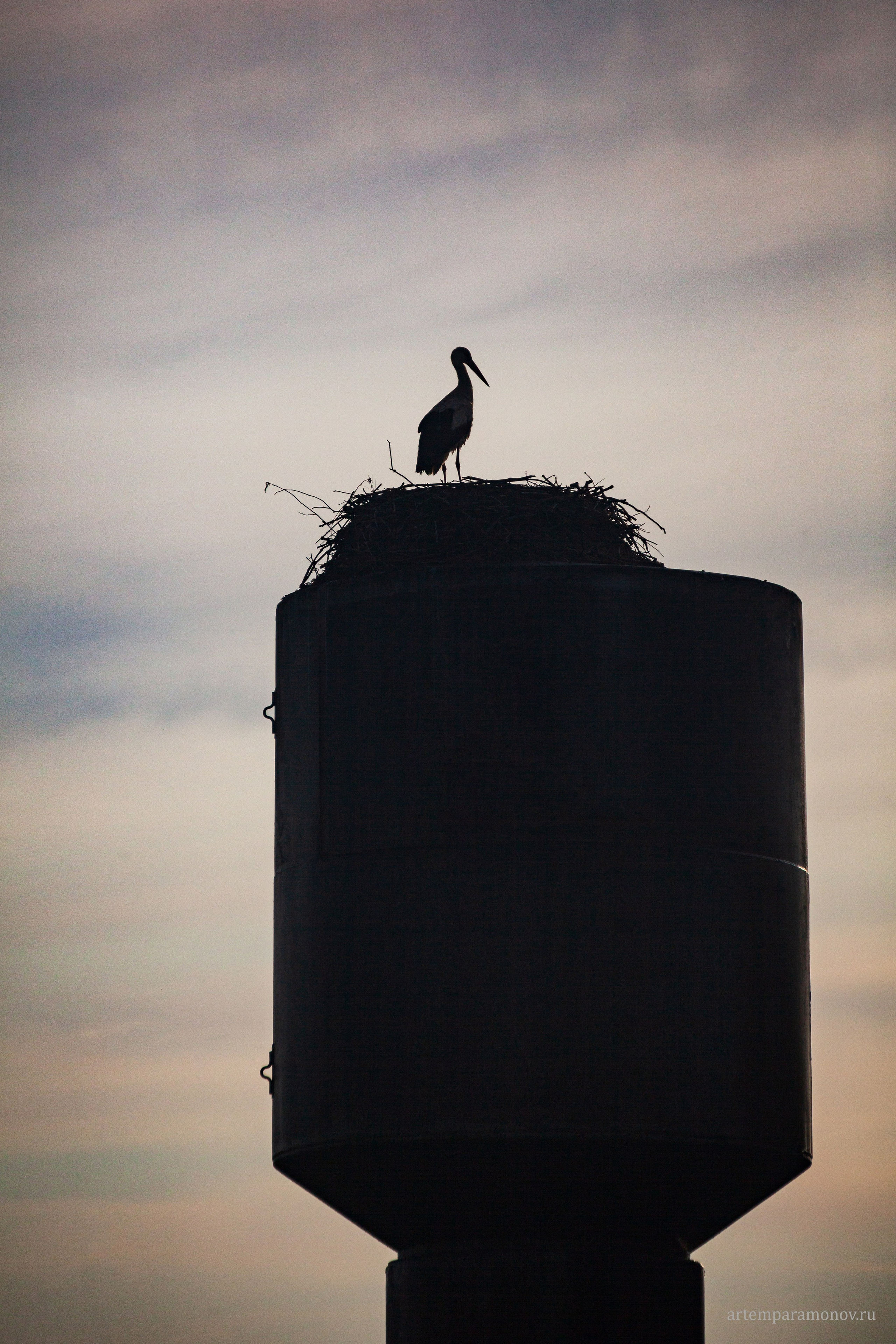 Магия утра близ Анастасова монастыря. Фотохудожник Артём Парамонов