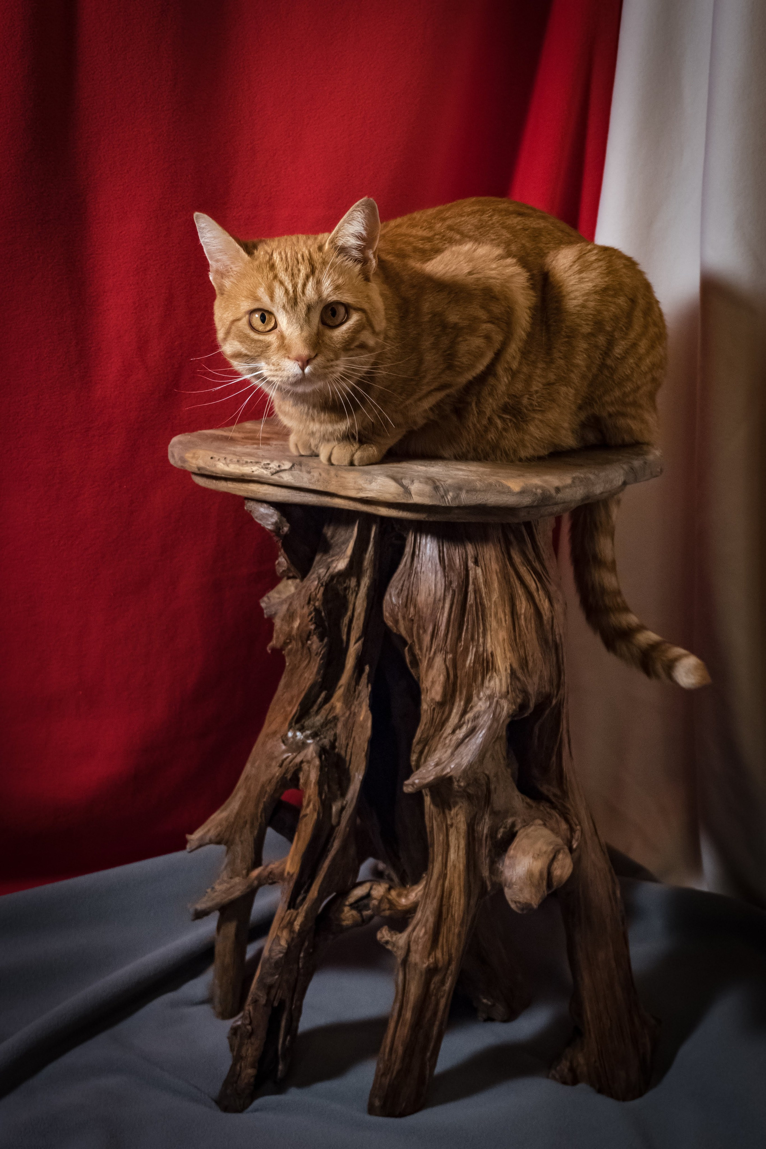 ANTONOVLABEL — Art & Handmade