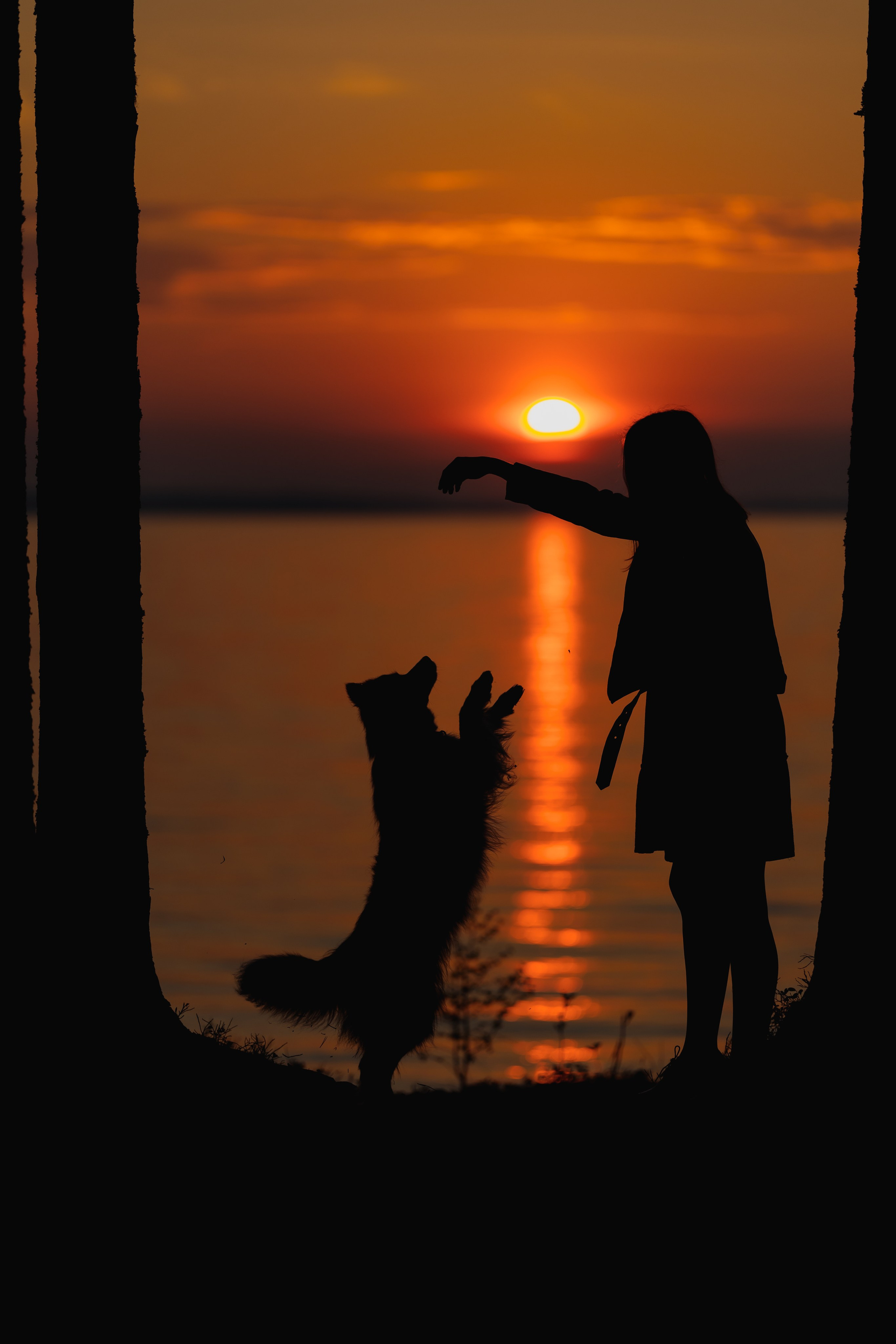 Съемка животных в Петрозаводске. Фотограф Варвара Ермоленко