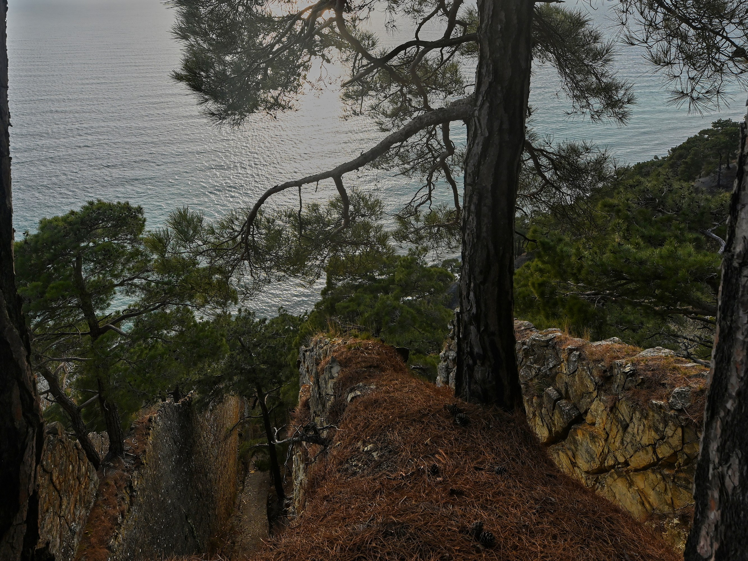 прогулка вокруг скалы Парус, поселок Прасковеевка