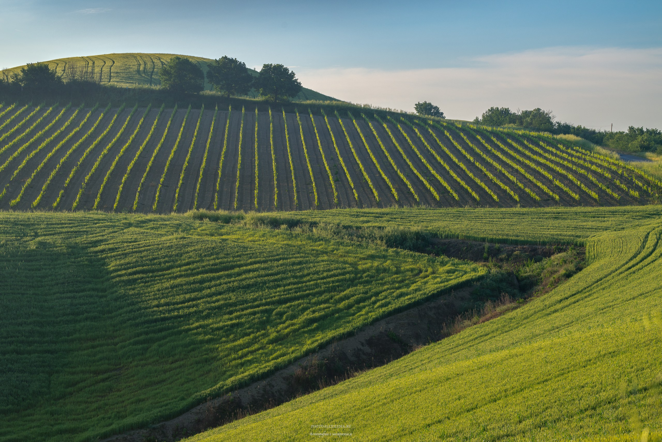 Долина Крете Сенези (Crete Senesi). Авторские стильные фотокартины