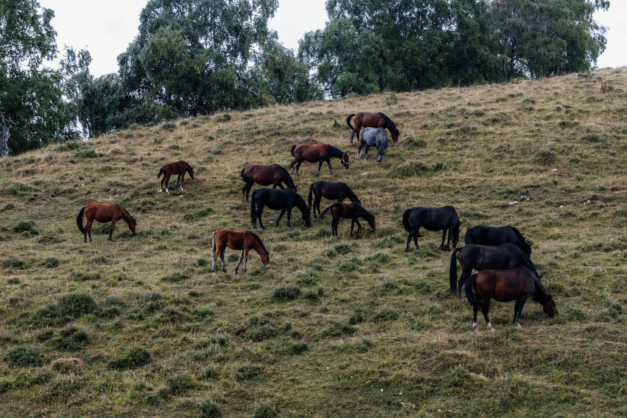 ДАГЕСТАН. Фотограф Анастасия Броварник в Санкт-Петербурге